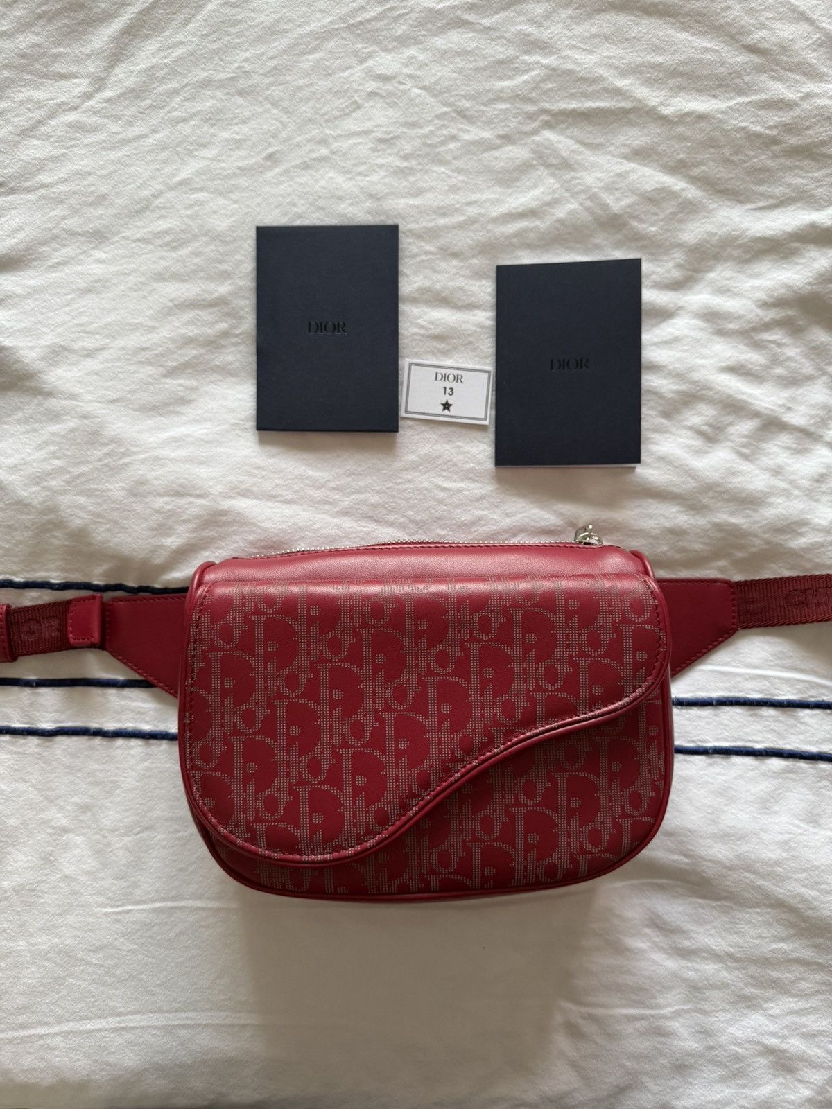 Dior Dior World Tour Galaxy Saddle Belt‎ Bag SOLD OUT Size ONE SIZE - 1 Thumbnail