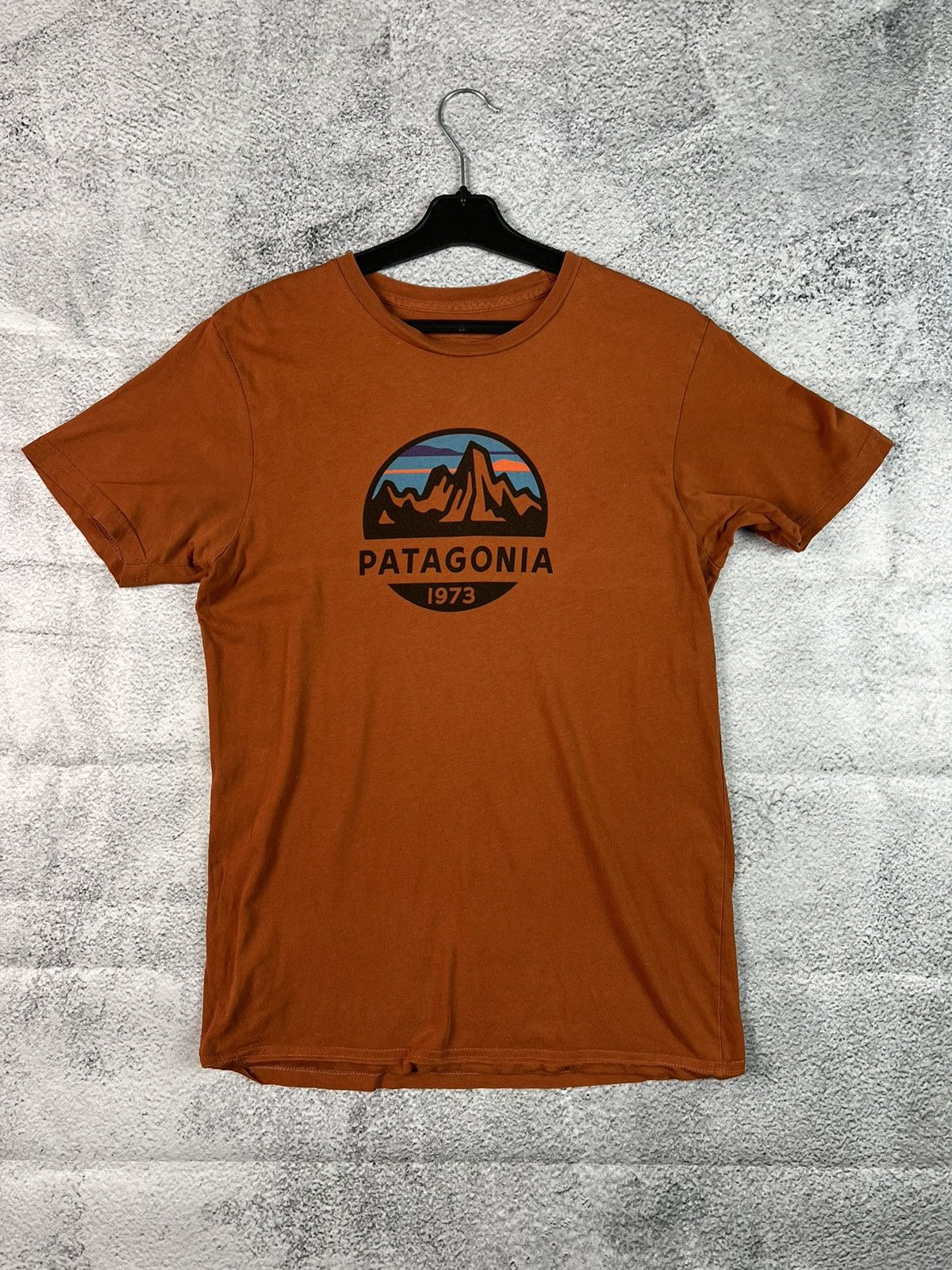 Patagonia Patagonia organic cotton T-shirt Size US S / EU 44-46 / 1 - 2 Thumbnail