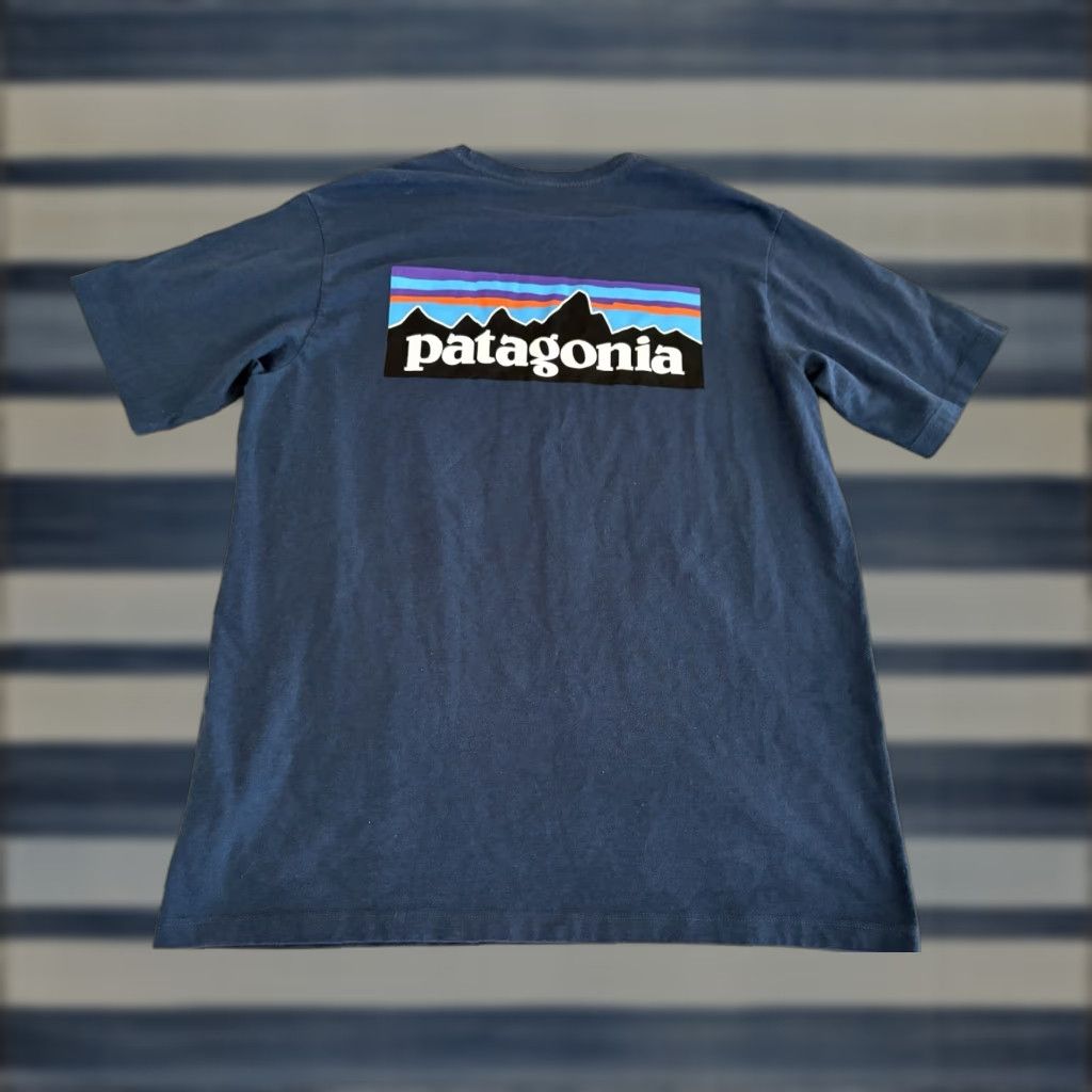 Patagonia Patagonia Big Logo Blue Tee Shirt Size Medium Size US M / EU 48-50 / 2 - 1 Thumbnail