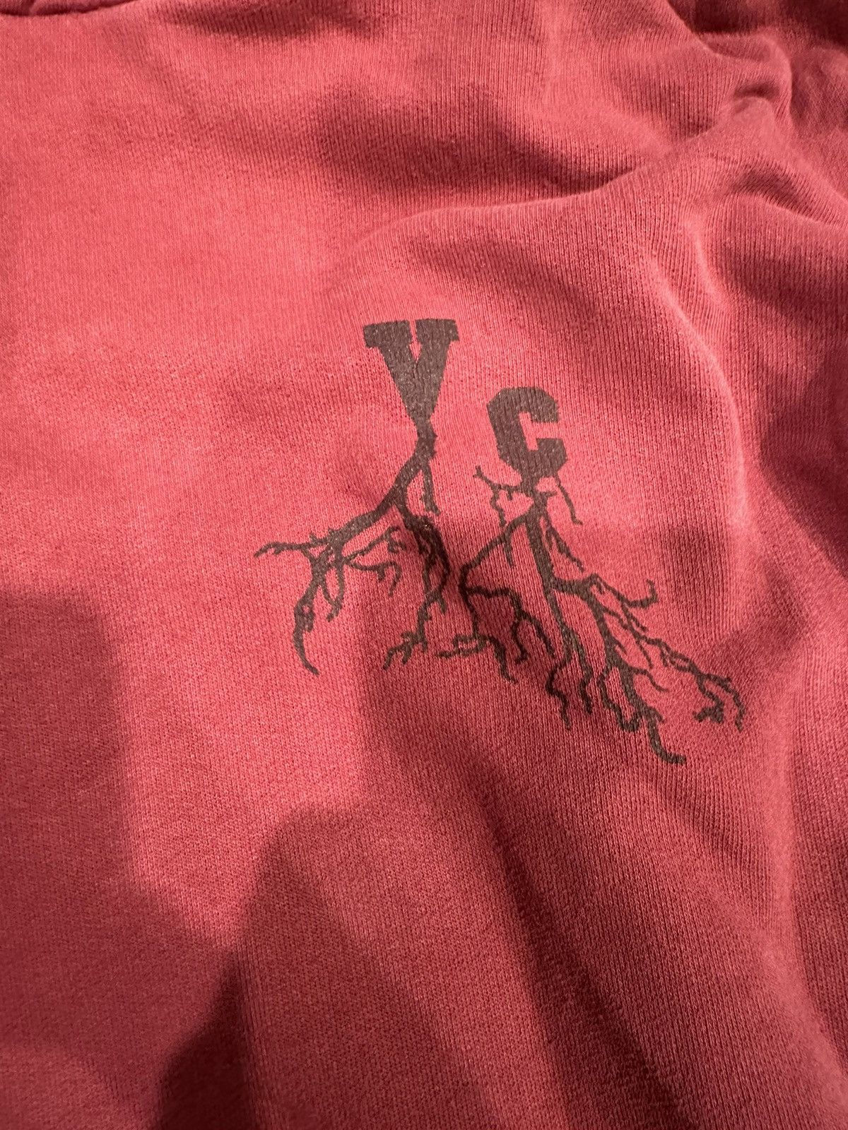 Raf Simons Raf Simons Virginia Creeper Roots AW02 Hoodie Size US M / EU 48-50 / 2 - 3 Thumbnail