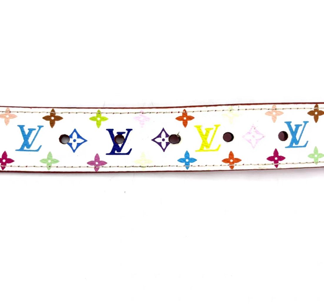 Louis Vuitton Louis Vuitton Multicolor Leather Belt with Gold Buckle Size ONE SIZE - 7 Thumbnail