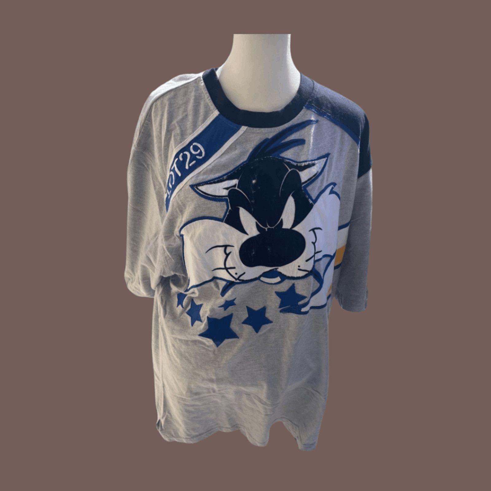 VTG Sylvester Tee | Lot 29 Blue Gray Cartoon Y2K Streetwear