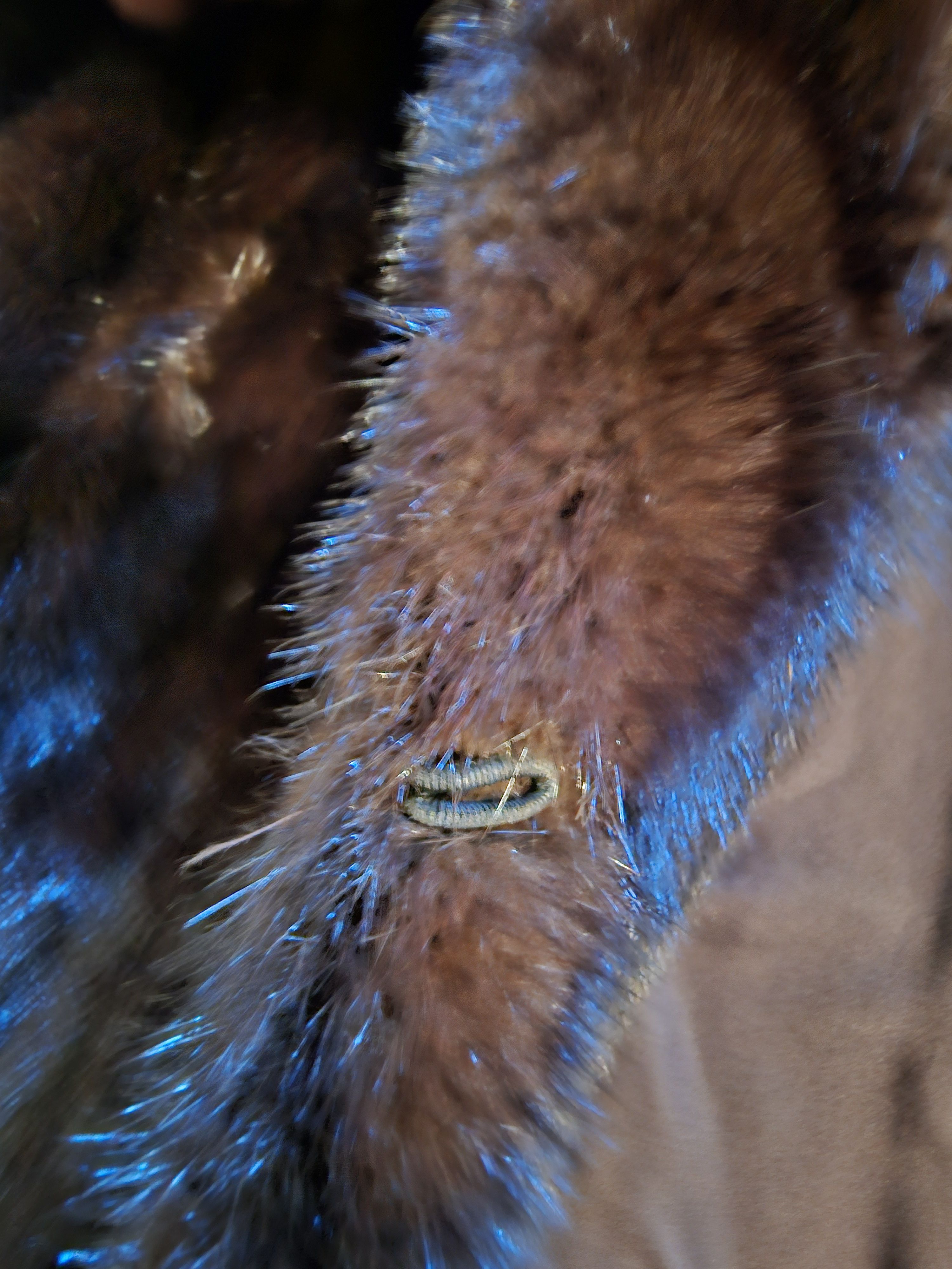 Christian Dior Monsieur Christian Dior Vintage Fur Size M / US 6-8 / IT 42-44 - 10 Thumbnail