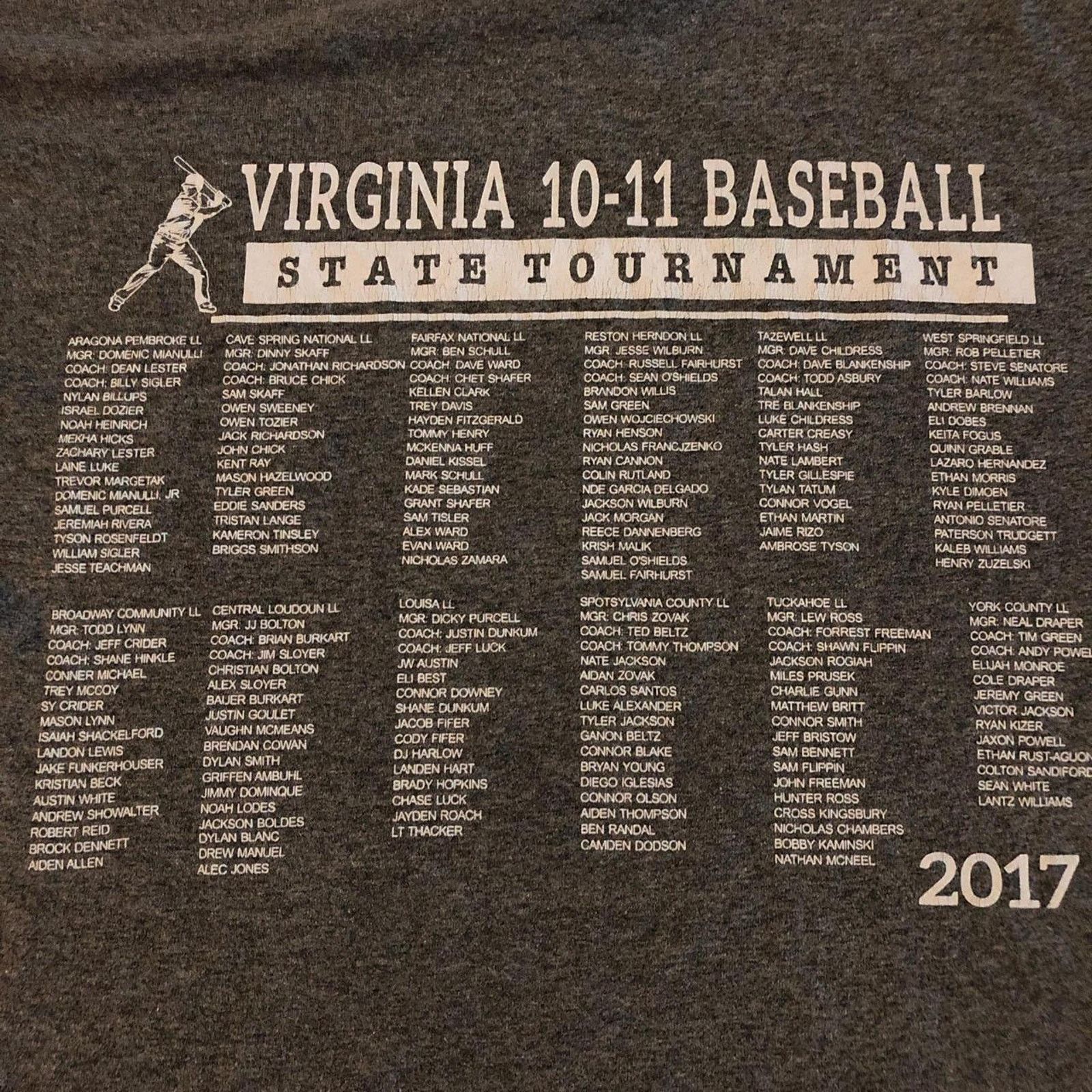 Gildan Men’s Grey Virginia State Baseball Graphic Tee Size US L / EU 52-54 / 3 - 5 Thumbnail