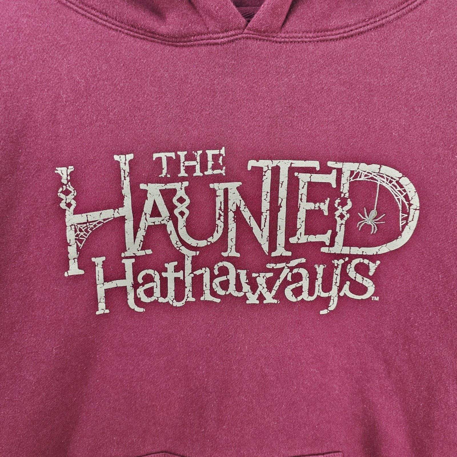 Nickelodeon The Haunted Hathaways TV Promo Hoodie Large Nickelodeon Y2K Size US L / EU 52-54 / 3 - 4 Thumbnail