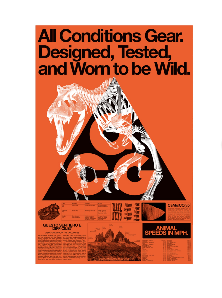 Nike ACG Fossil Poster