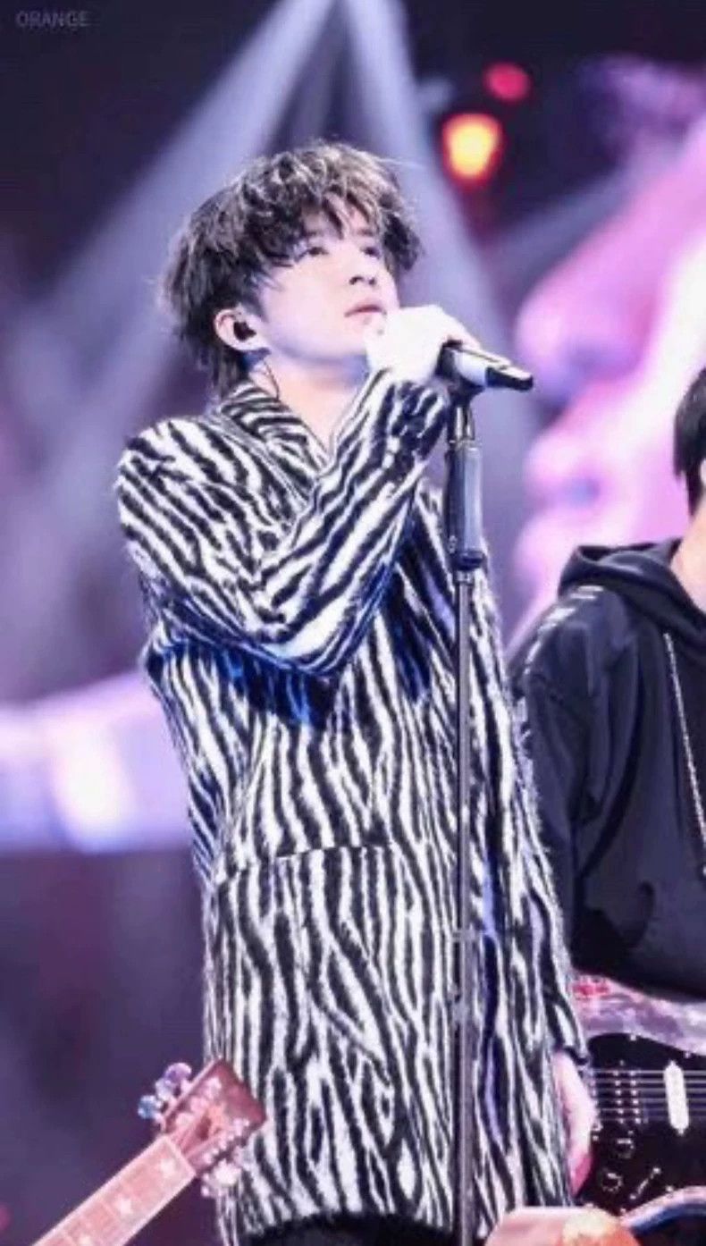 Saint Laurent Paris Saint Laurent Paris Saint Laurent Zebra Print Fur Coat-250 Size US L / EU 52-54 / 3 - 8 Thumbnail