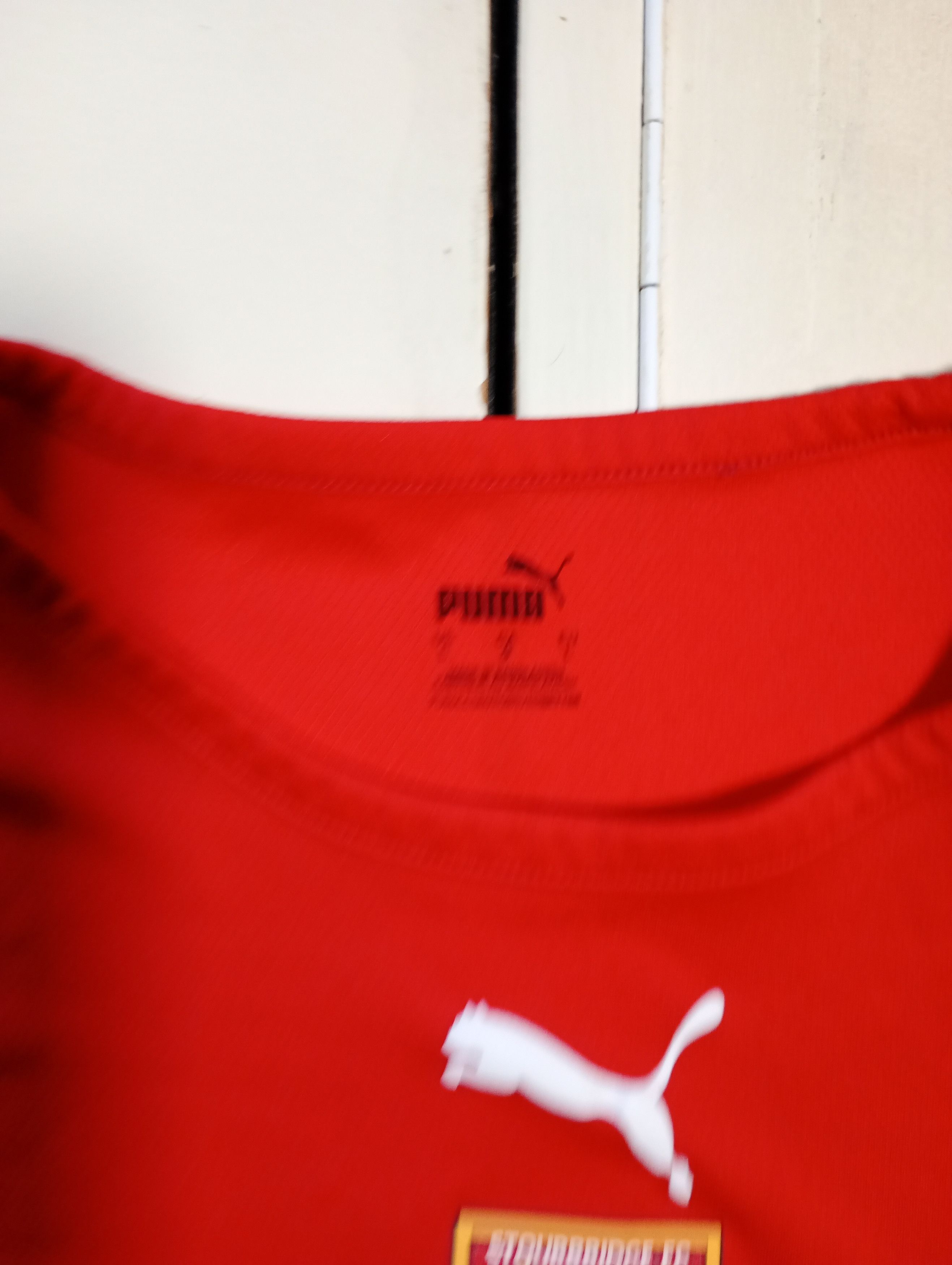 Puma Puma Stourbridge FC Training Jersey 2022-2023 Size US L / EU 52-54 / 3 - 7 Thumbnail