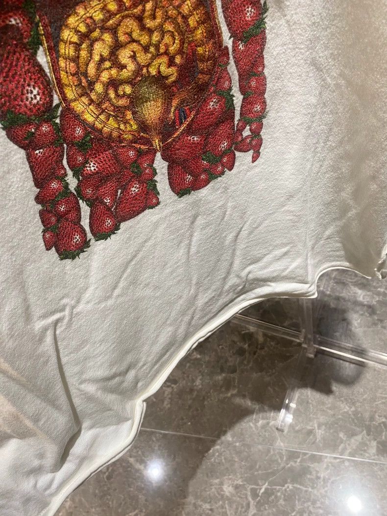 Undercover Undercover 05ss But Beautiful Issue 2 Masterpiece Strawber Size US L / EU 52-54 / 3 - 6 Thumbnail
