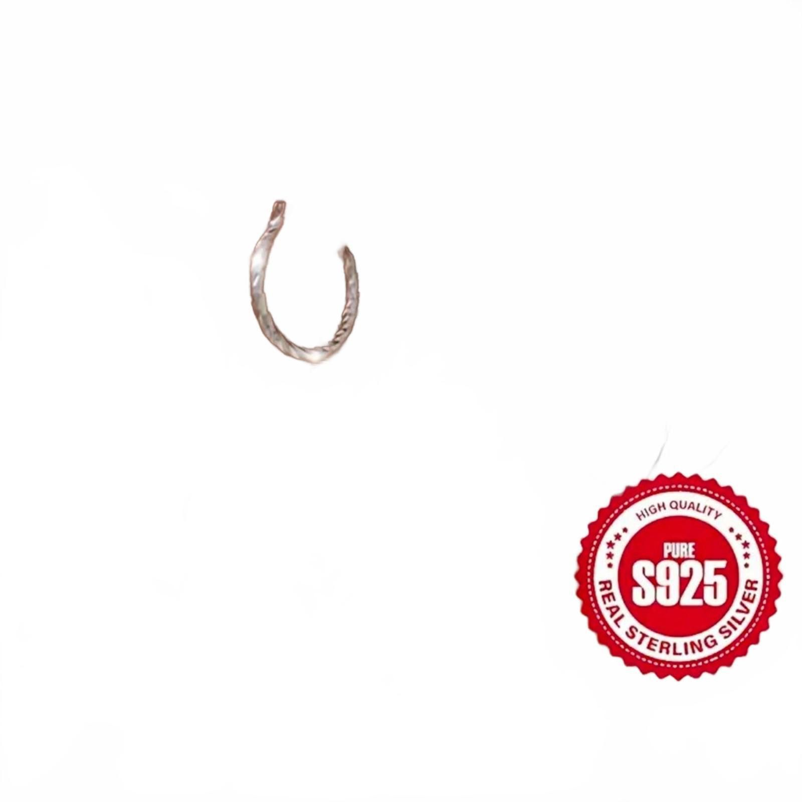 Designer S925 Sterling Silver Twist Design Hoop EARRINGS NWT Size ONE SIZE - 4 Thumbnail