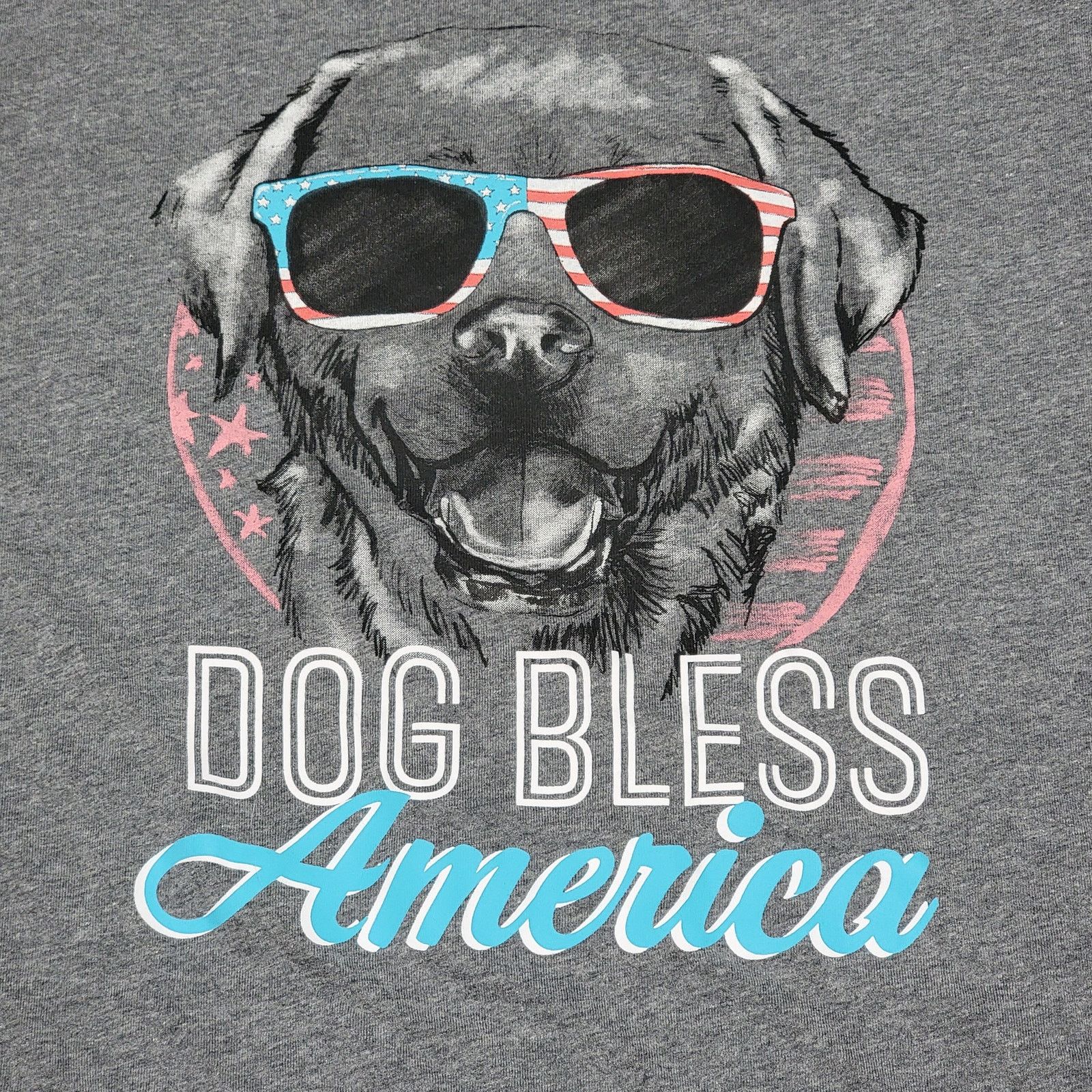 Other Unisex Grey Short Sleeve Tee "Dog Bless America" - Size XL Size XL / US 12-14 / IT 48-50 - 1 Thumbnail