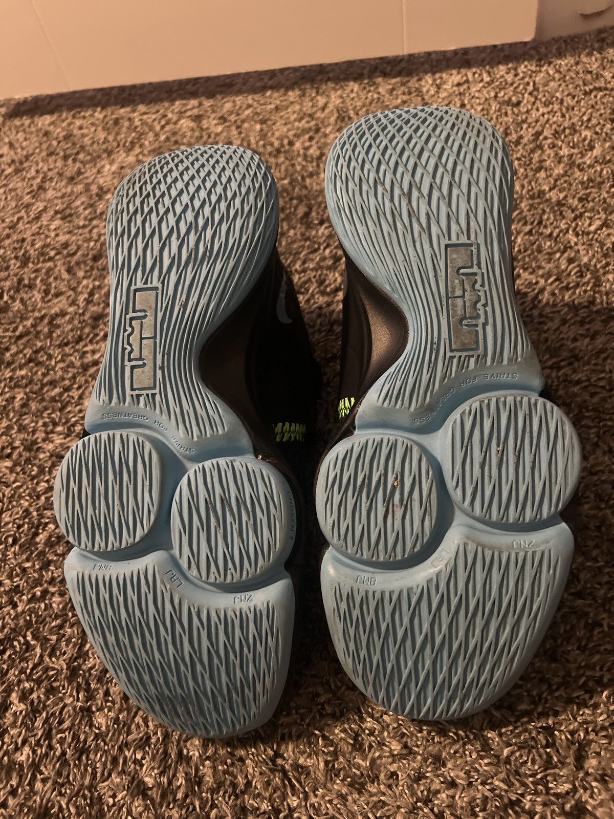 Lebron Witness, image size:1200x1600