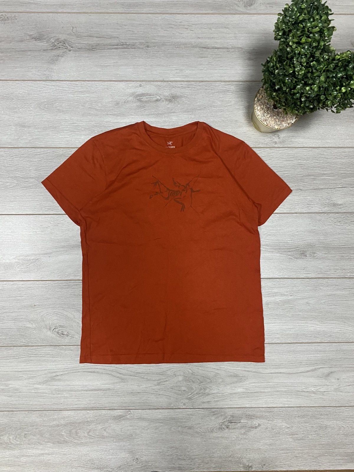Arcteryx vintage big bird logo t-shirt