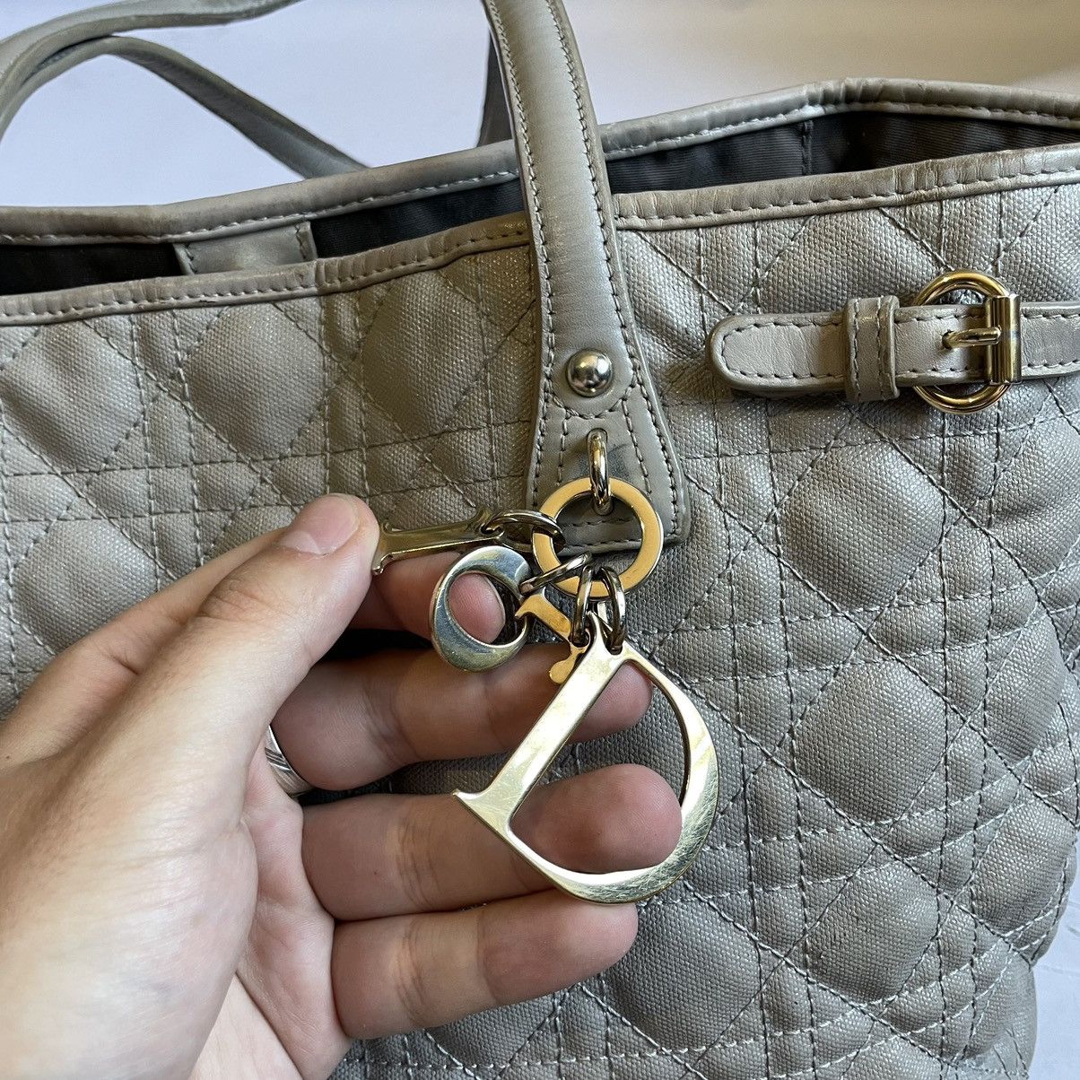Christian Dior Monsieur Christian Dior Panerea Shoulder Bag Size ONE SIZE - 7 Thumbnail