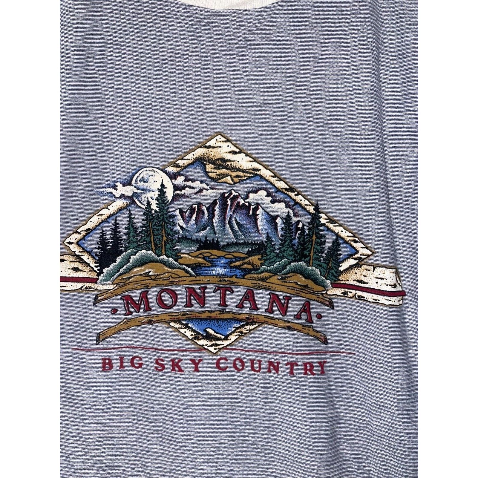 Vintage 90s Vintage MT Montana Last Best Place Shirt Tee VTG L 1990s Size US L / EU 52-54 / 3 - 2 Thumbnail