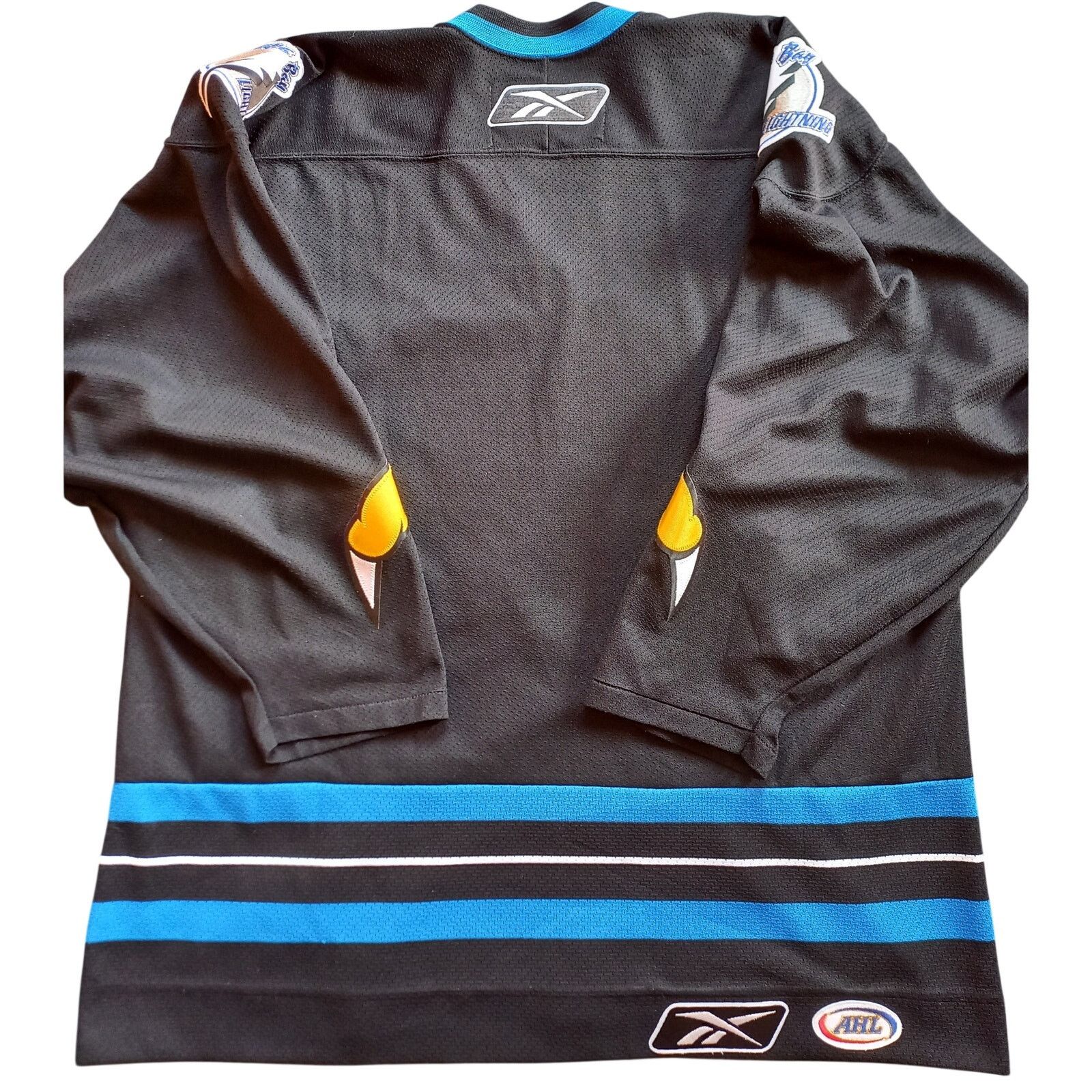 Ccm × NHL Springfield Falcons 2000s Rbk CCM jersey CLAW AHL hockey vtg Size US L / EU 52-54 / 3 - 6 Thumbnail