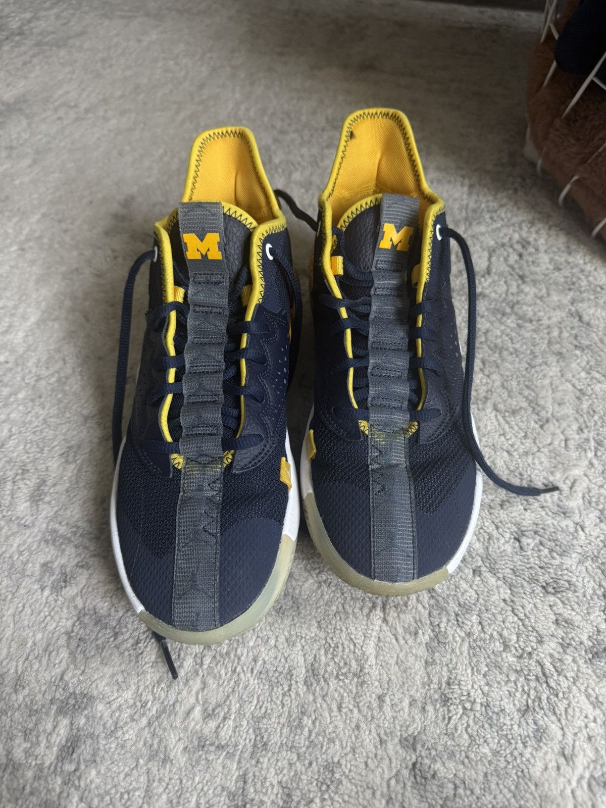 Jordan Brand Michigan PE’s Size US 8 / EU 41 - 2 Thumbnail