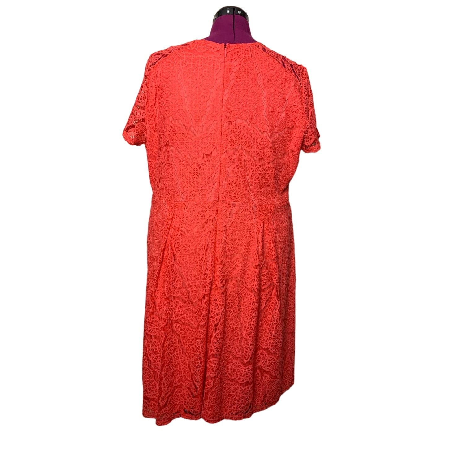 Apt. 9 Apt 9 2X orange cotton blend midi short sleeve sheath dress Size XXL / US 16-18 / IT 52-54 - 3 Thumbnail