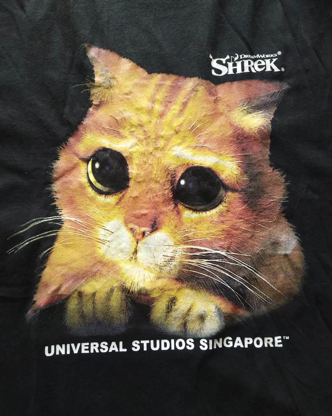 Disney × Universal Studios Shrek Puss In Boots Cute Big Print Art Official Movie Tees Size US XXL / EU 58 / 5 - 2 Thumbnail