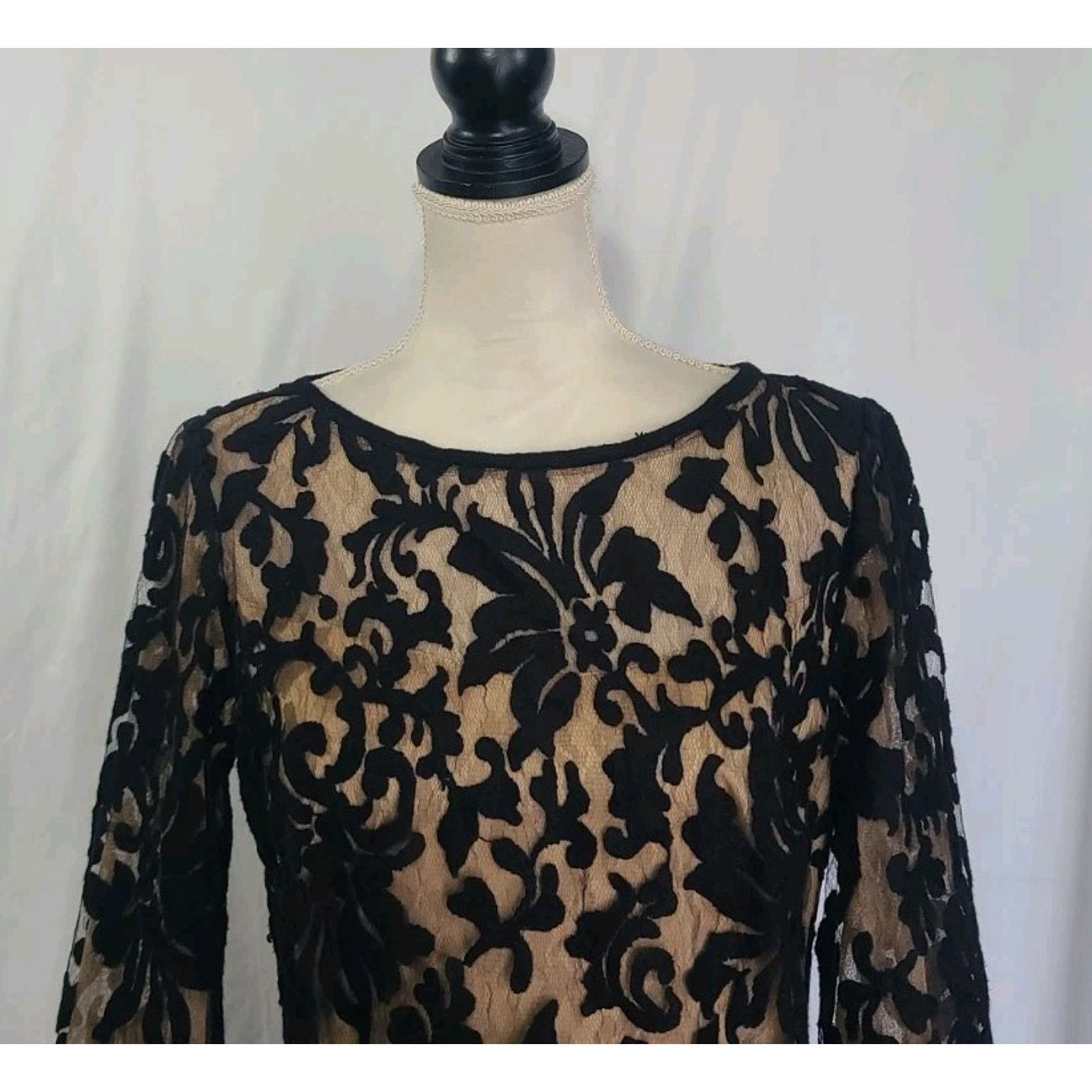 Tadashi Shoji Tadashi Shoji Embroidered Lace 3/4 Sleeve Dress Sheer US 8 Size M / US 6-8 / IT 42-44 - 3 Thumbnail