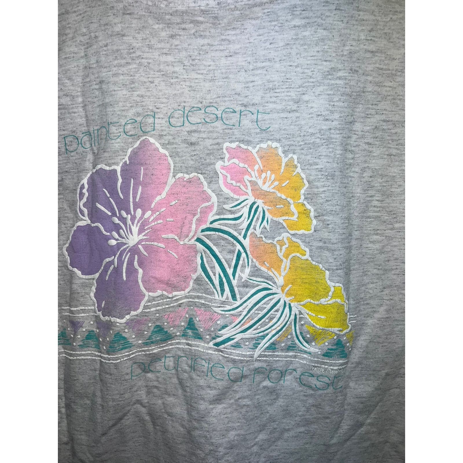 Vintage Vintage Painted Desert Shirt Petrified Forest Flower Tee 90s Size US M / EU 48-50 / 2 - 3 Thumbnail