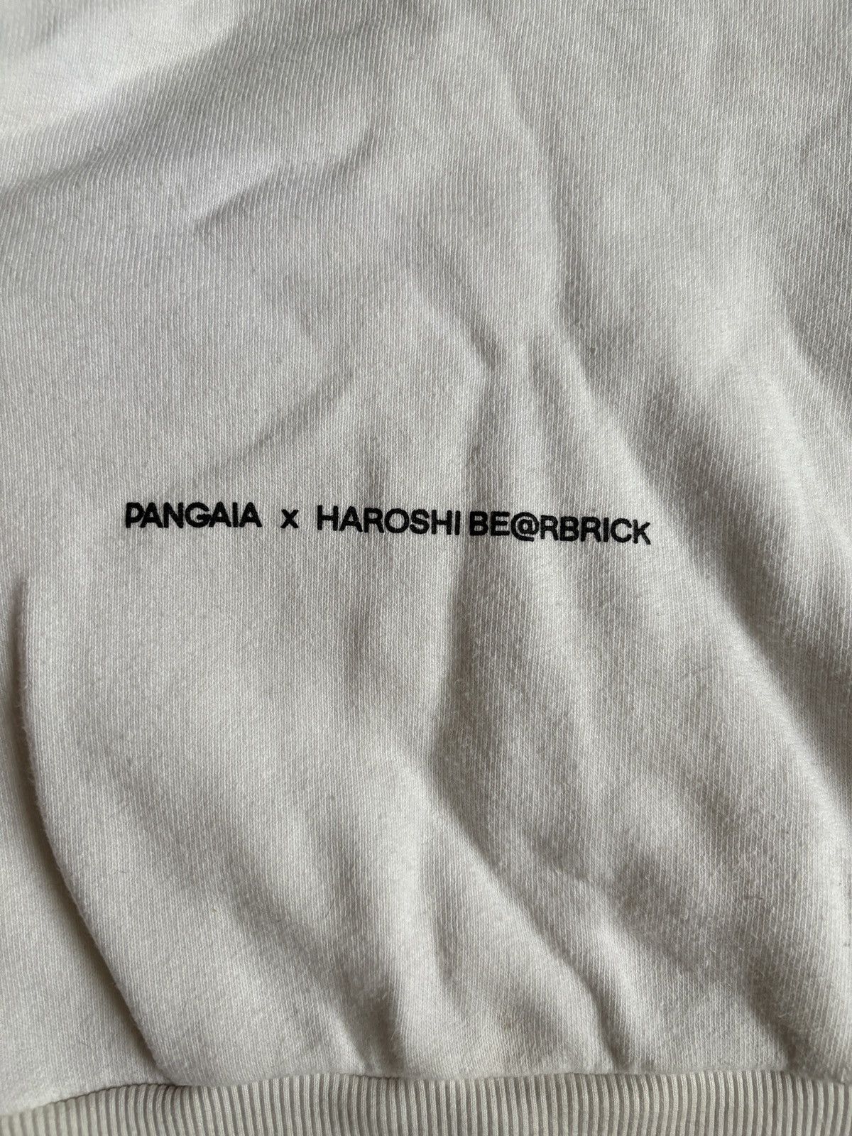 Pangaia Pangaia x Haroshi Bearbrick White Logo Recycled Hoodie Size US S / EU 44-46 / 1 - 12 Thumbnail