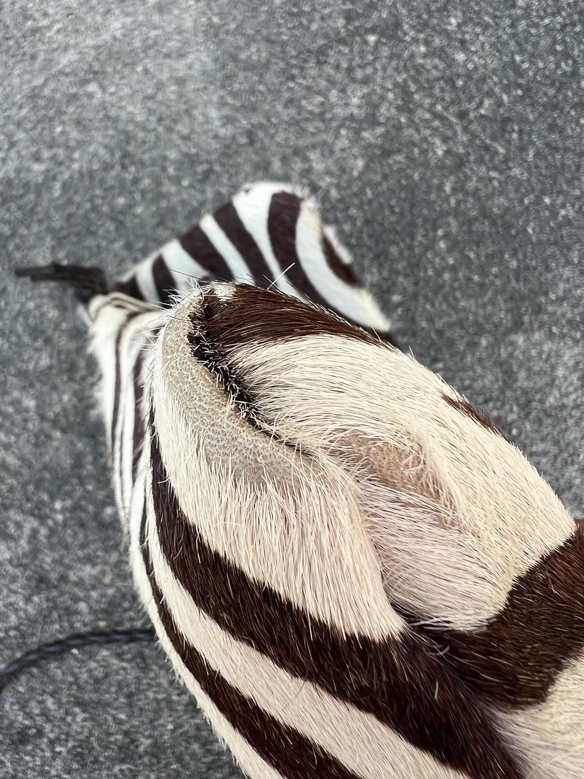 Leather Vintage J&M Davidson England Zebra Leather Sling Bag Size ONE SIZE - 18 Thumbnail