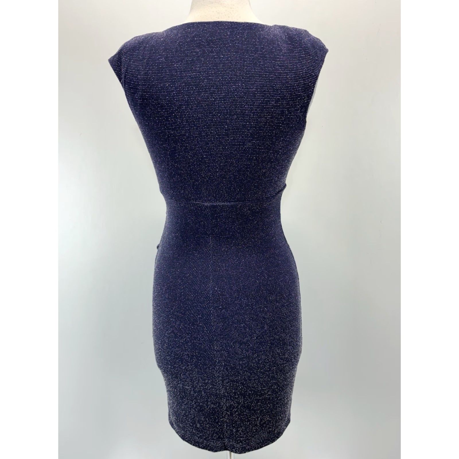 Ralph Lauren Lauren Ralph Lauren Sheath Dress Sz 6p Petite Blue Metallic Stretch Cocktail Size M / US 6-8 / IT 42-44 - 3 Thumbnail