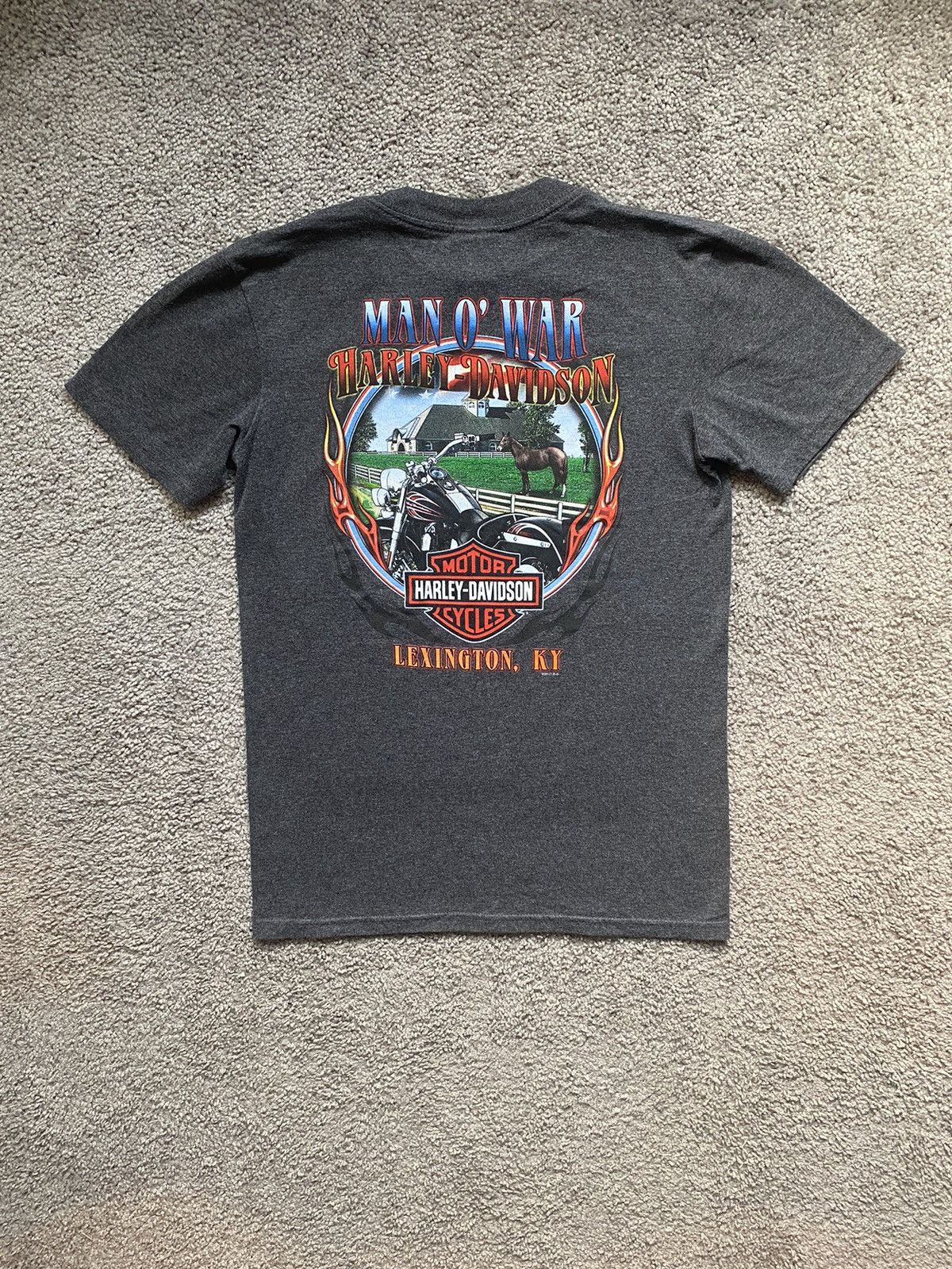 Harley Davidson × Vintage Vintage Y2K Harley Davidson Tee Shirt Size US S / EU 44-46 / 1 - 1 Thumbnail