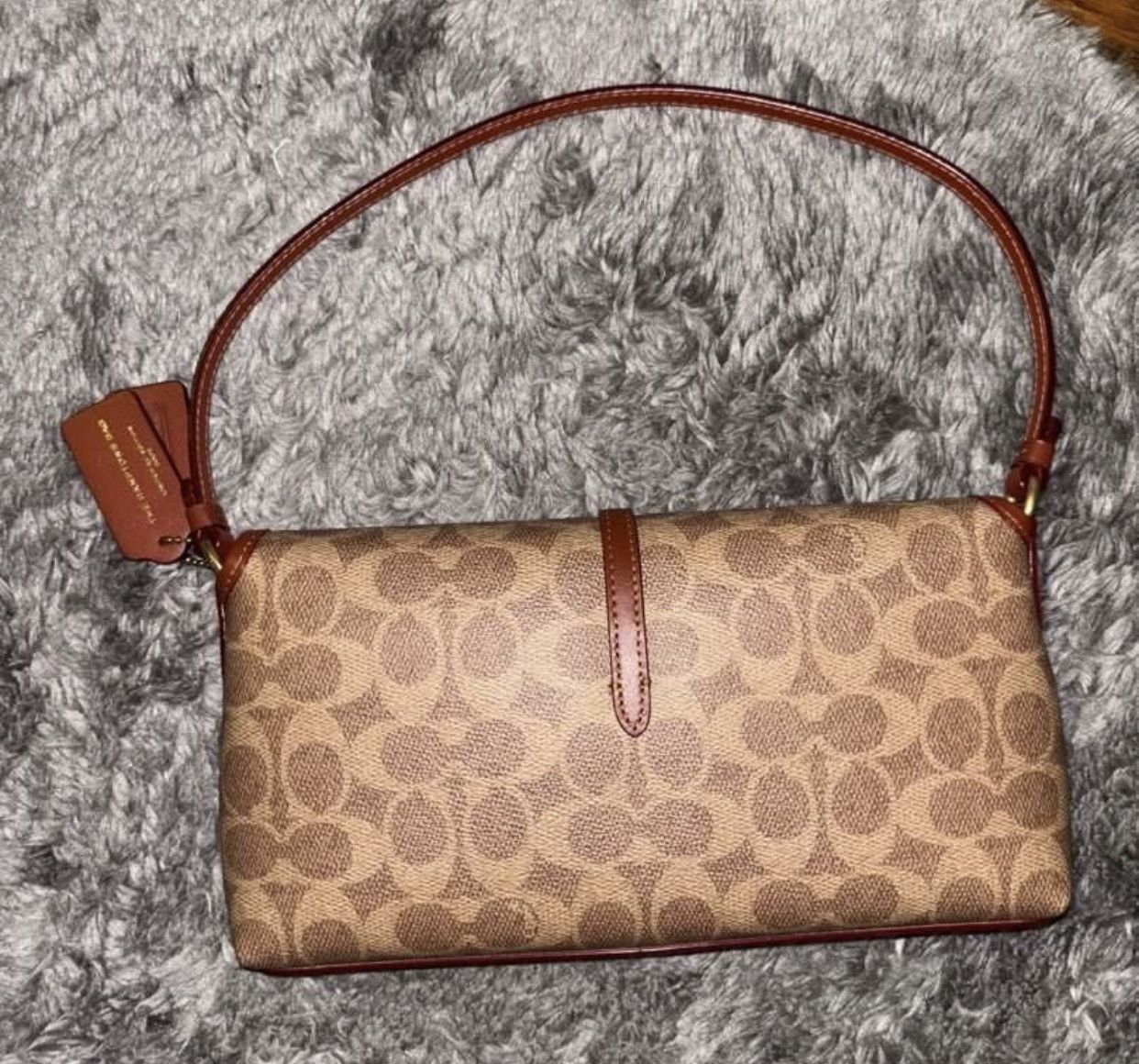 Limited Edition 2002 Coach Hamptons