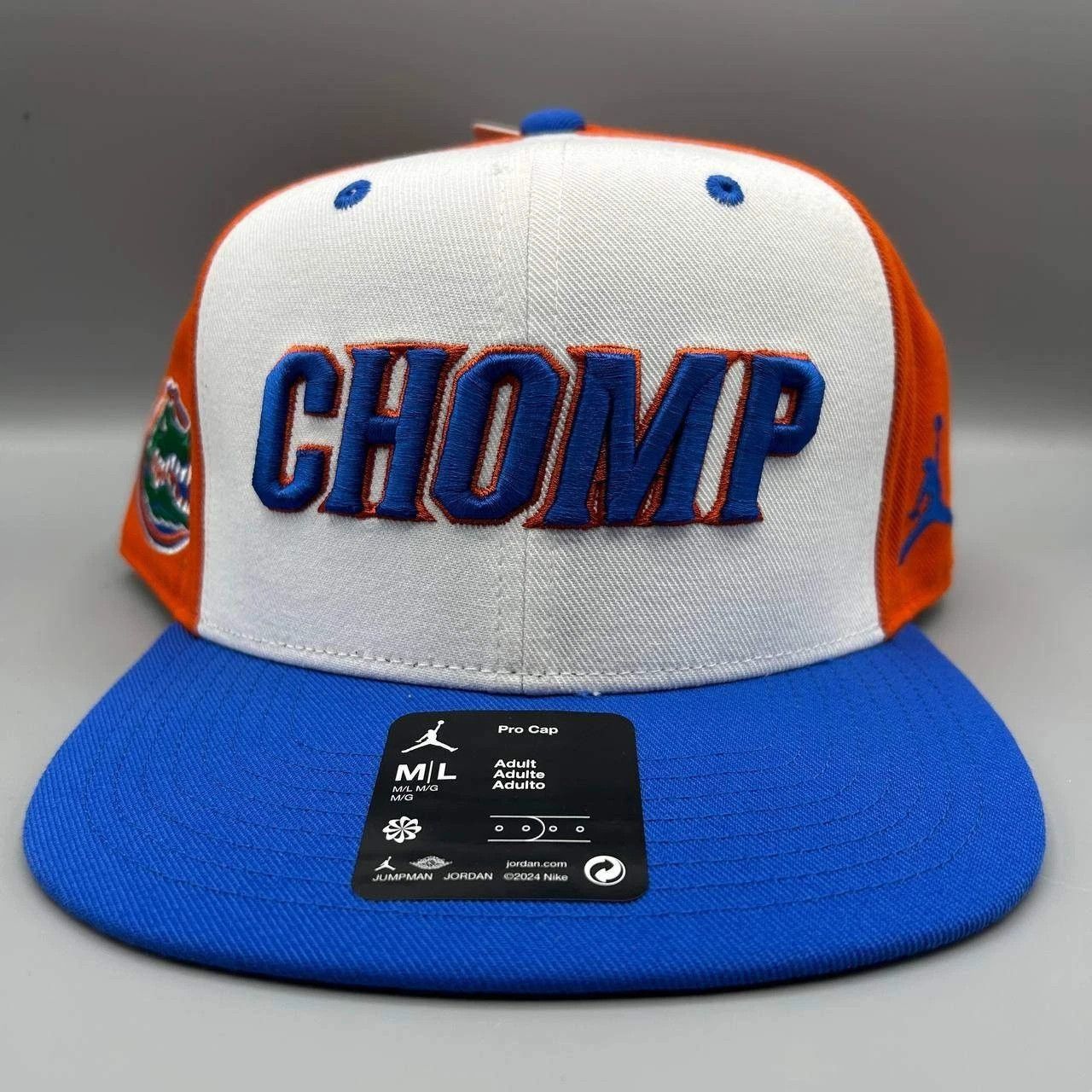 Jordan Brand Florida Gators x Air Jordan Pro Hat Men M-L Dri-Fit SnapBack Size ONE SIZE - 1 Thumbnail