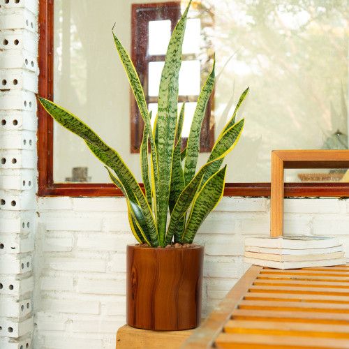 Designer × Homemade 7.8 in. Dark Wood Plastic Self-watering Planter Pot Size US L / EU 52-54 / 3 - 2 Thumbnail