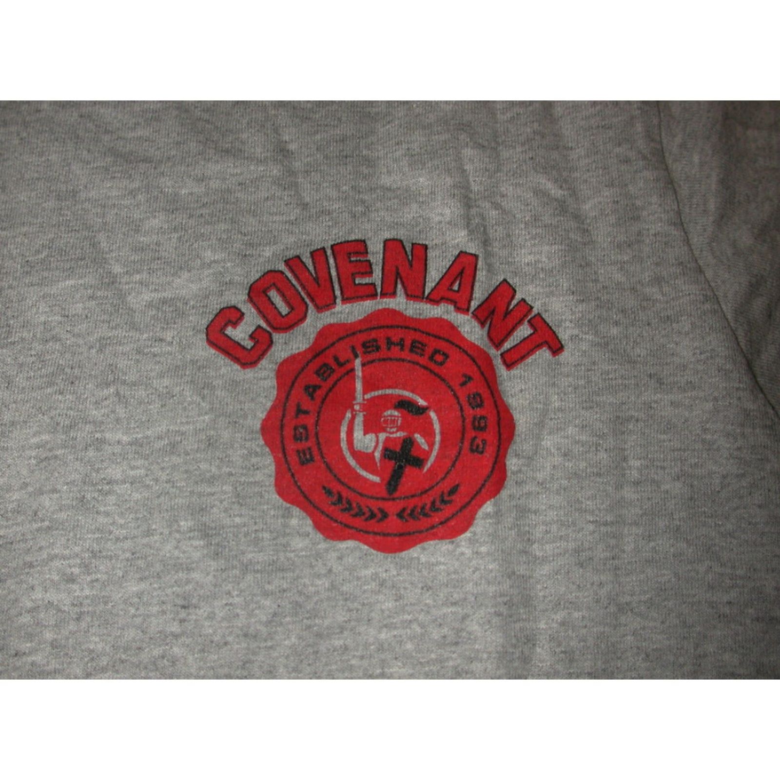Champion Covenant Christian Knights High School T Shirt Small Gray Heather Champion 90/10 Cotton Blend Men Shirt Dallas TX Genders: Mens Size US S / EU 44-46 / 1 - 2 Thumbnail