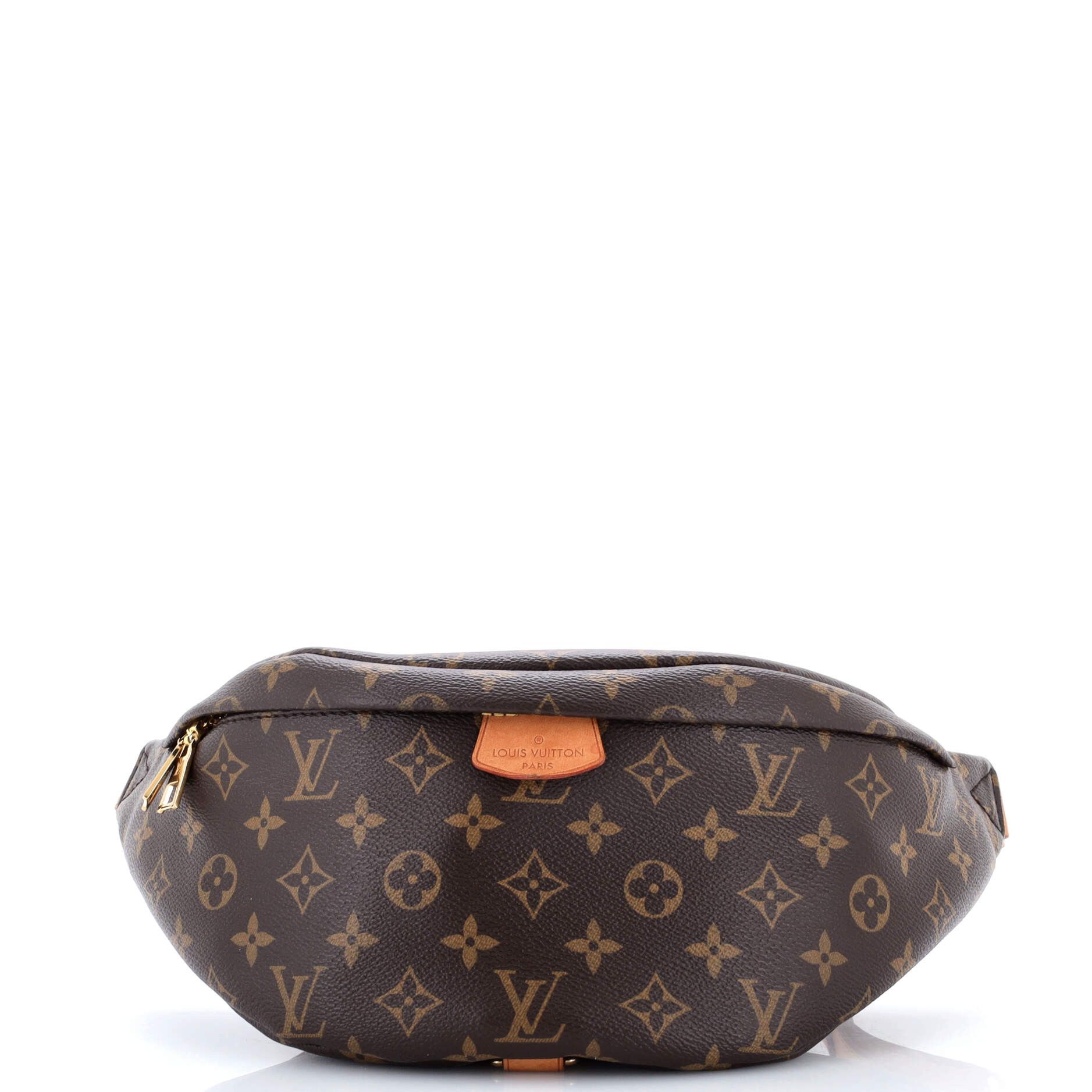 Louis Vuitton Bum Bag Size ONE SIZE - 1 Thumbnail