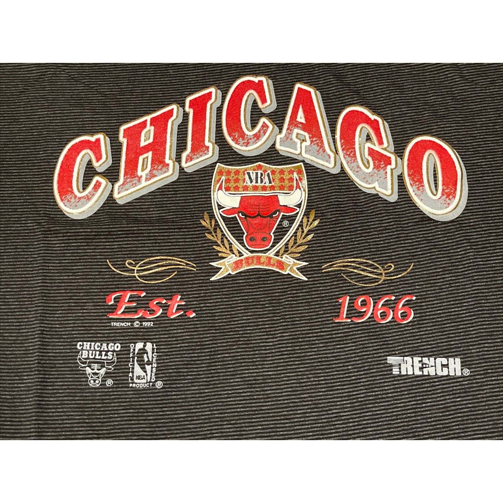 Vintage Vintage 1992 Large Chicago Bulls NBA Michael Jordan T-Shirt Size US L / EU 52-54 / 3 - 4 Thumbnail