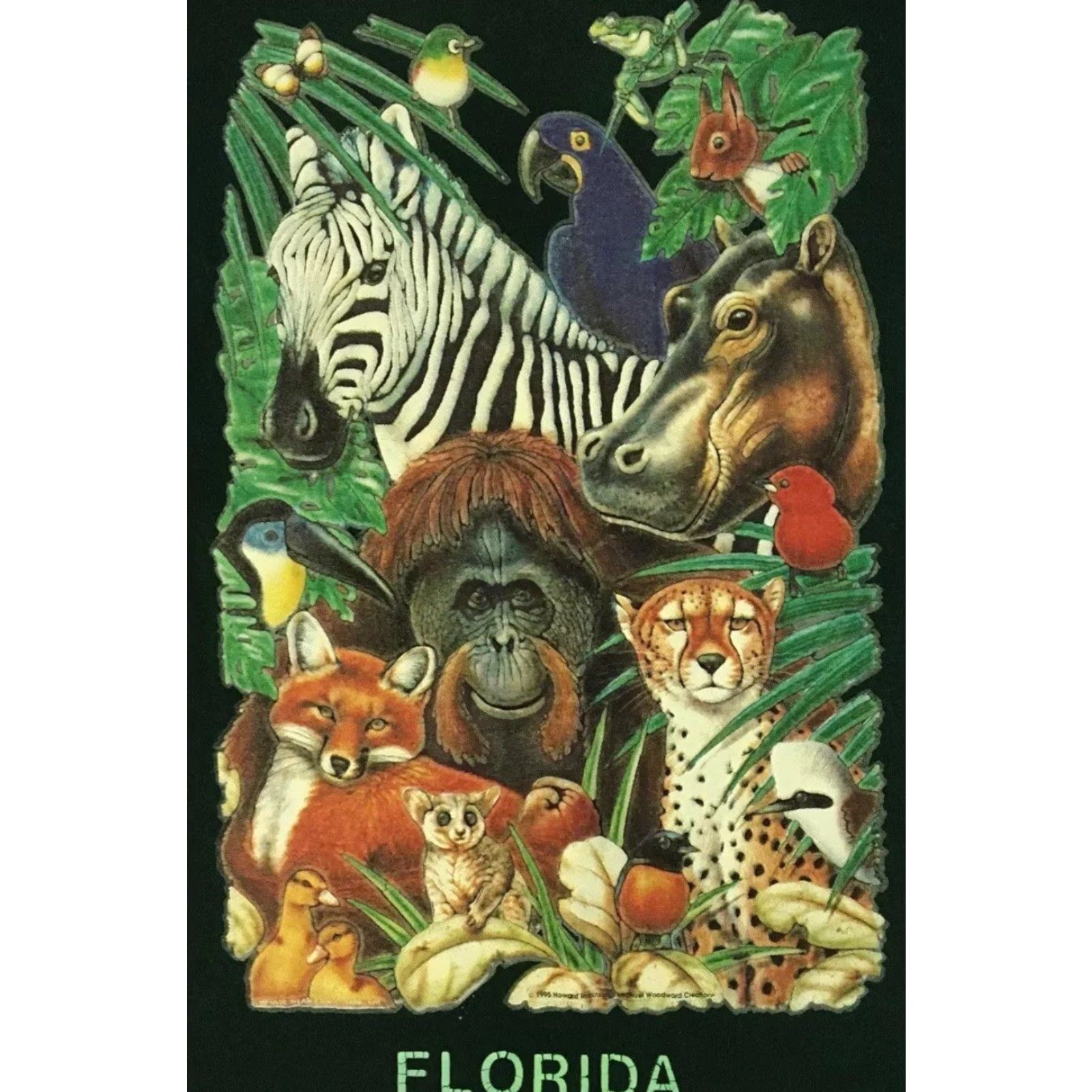 Vintage VINTAGE Florida Shirt S Short Sleeve Green 90s 80s Animal Art Zebra Beach Grunge Single Stitch Mens T-Shirt Size US S / EU 44-46 / 1 - 3 Thumbnail