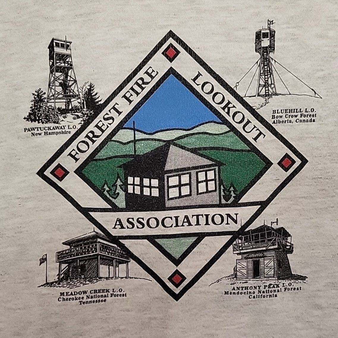 Lee VTG Lee Sweatshirt Mens L Gray Forest Fire Lookout Association Graphic Gorpcore Size US L / EU 52-54 / 3 - 5 Thumbnail