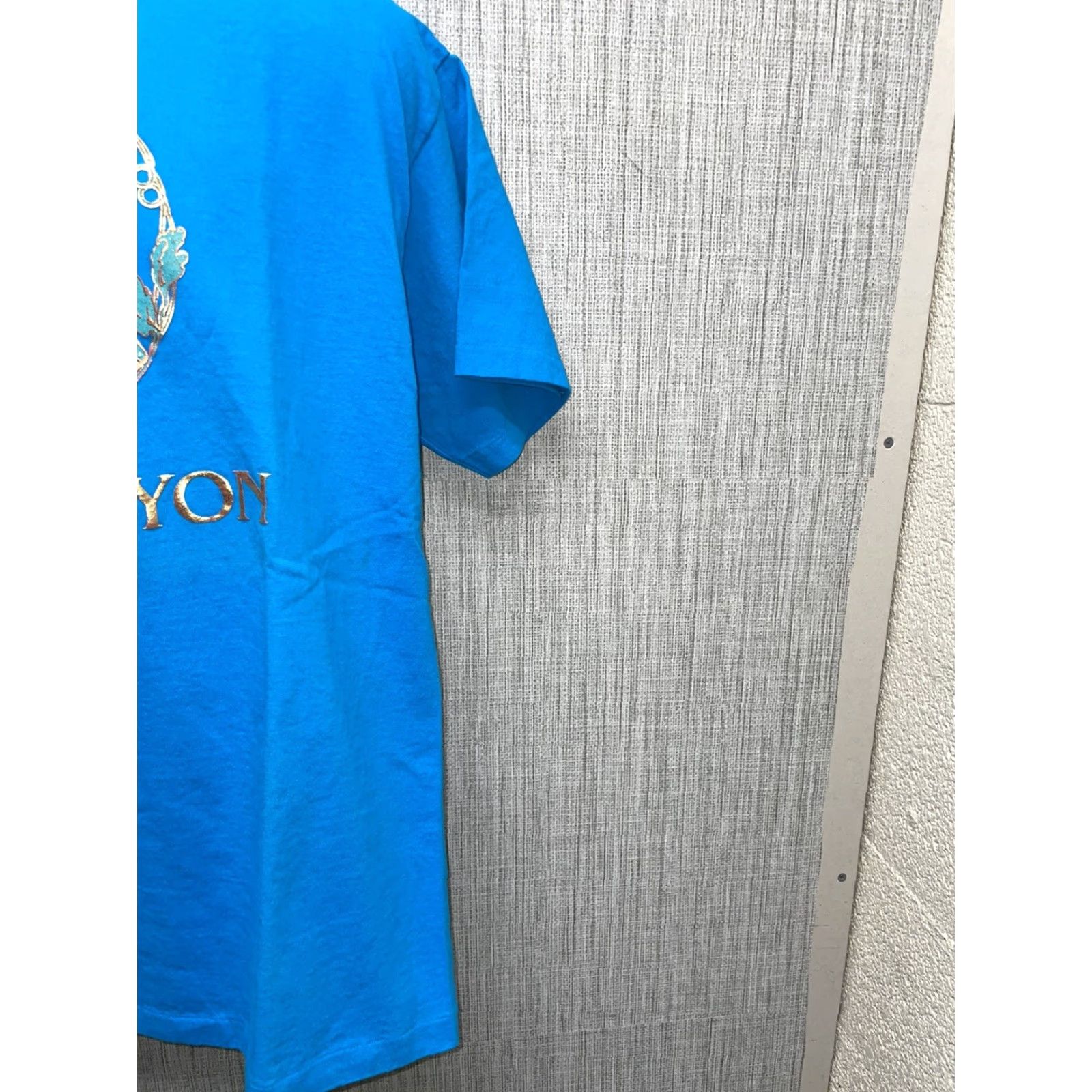 Vintage VINTAGE GRAND CANYON RAILWAY Stitch Blue Graphic T-Shirt Mens L Size US L / EU 52-54 / 3 - 3 Thumbnail