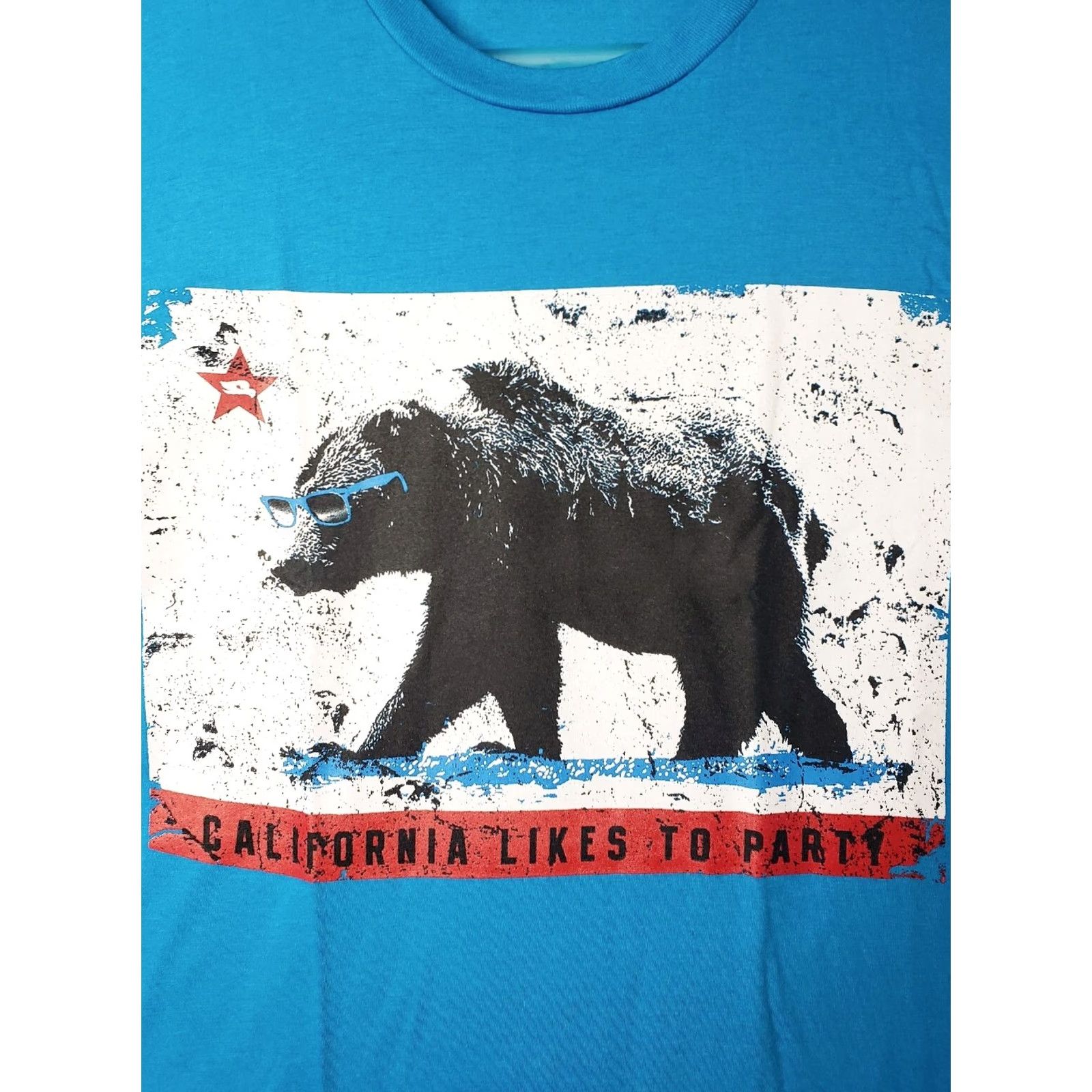 Vintage Tony Hawk T-Shirt Mens XL Blue Short Sleeve Crew Neck California Likes To Party Bear Logo Saying Graphic Print Jersey Solid Size US XL / EU 56 / 4 - 4 Thumbnail
