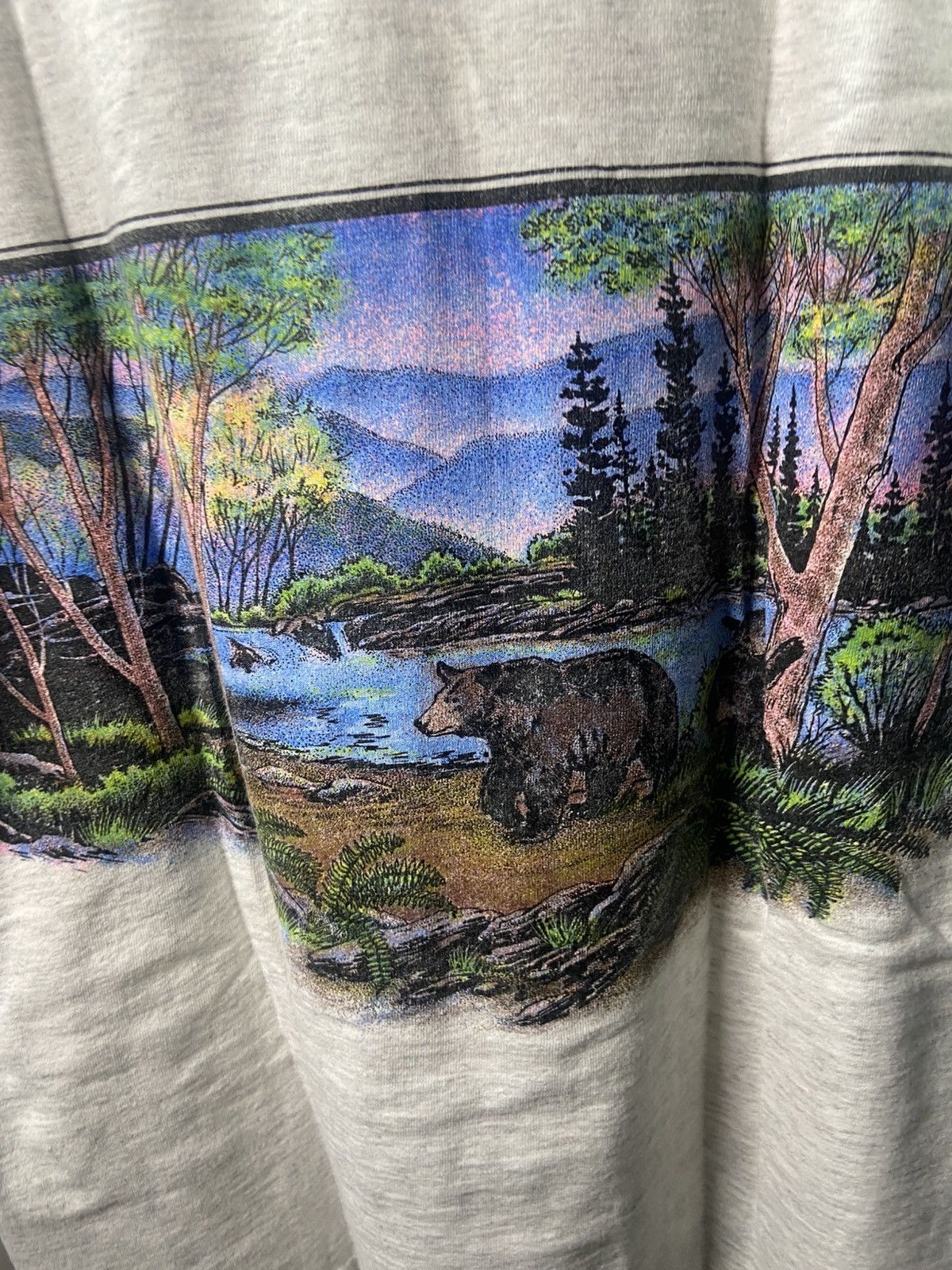 Vintage Great Smoky Mountains Vintage Shirt 90s Size Large San Segal Size US L / EU 52-54 / 3 - 7 Thumbnail