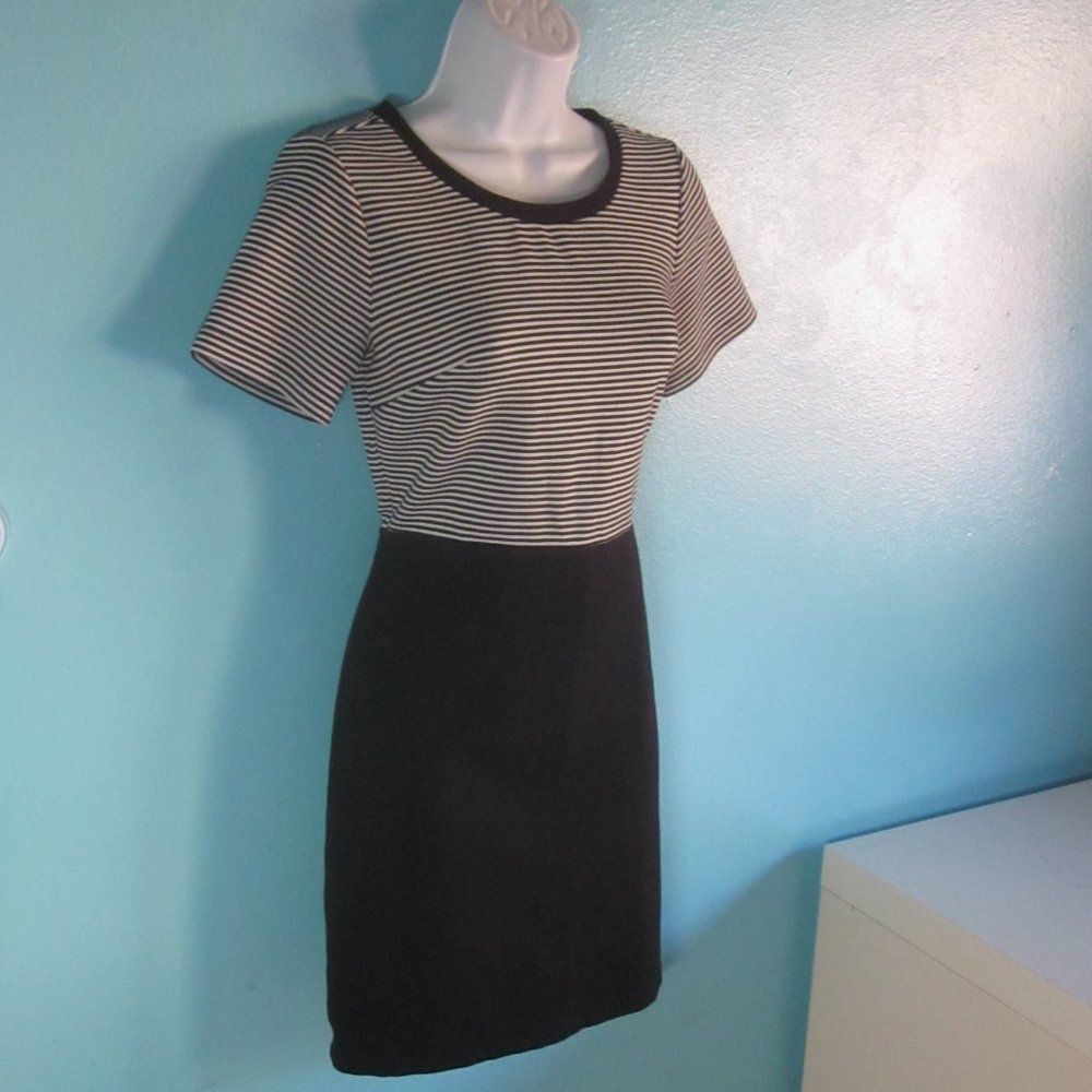 Loft Loft Work Dress Size 2P Size XS / US 0-2 / IT 36-38 - 5 Thumbnail
