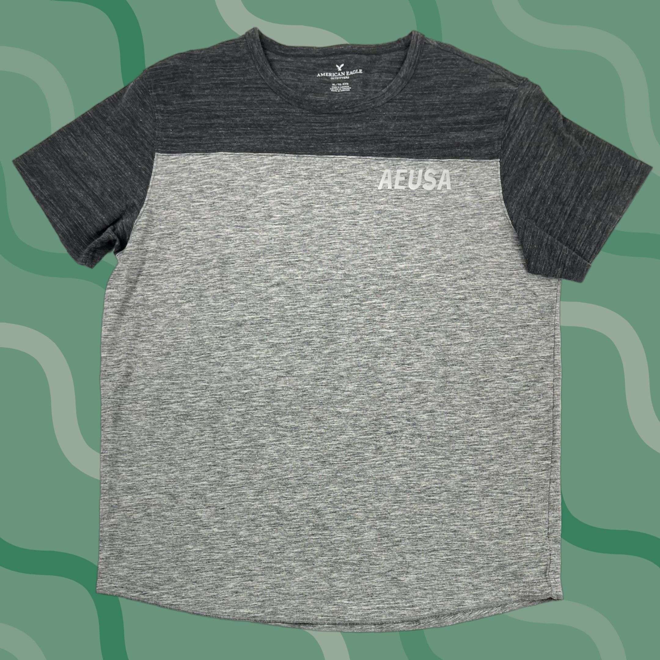 American Eagle Outfitters American Eagle Outfitters Shirt Mens XL Gray Two-Tone Graphic Tee Logo USA Size US XL / EU 56 / 4 - 1 Thumbnail