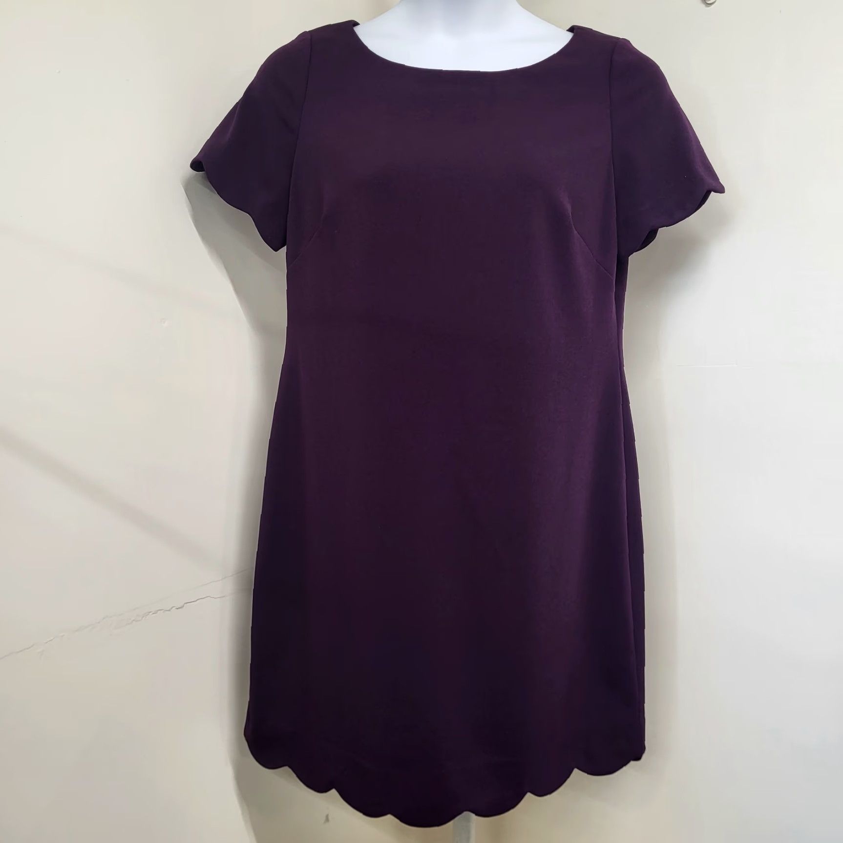 Anne Klein Ann Klein Dress Women's Size 14 Purple Wine Short Sleeve Scalloped Classic Fit Size 36" / US 14 / IT 50 - 2 Thumbnail