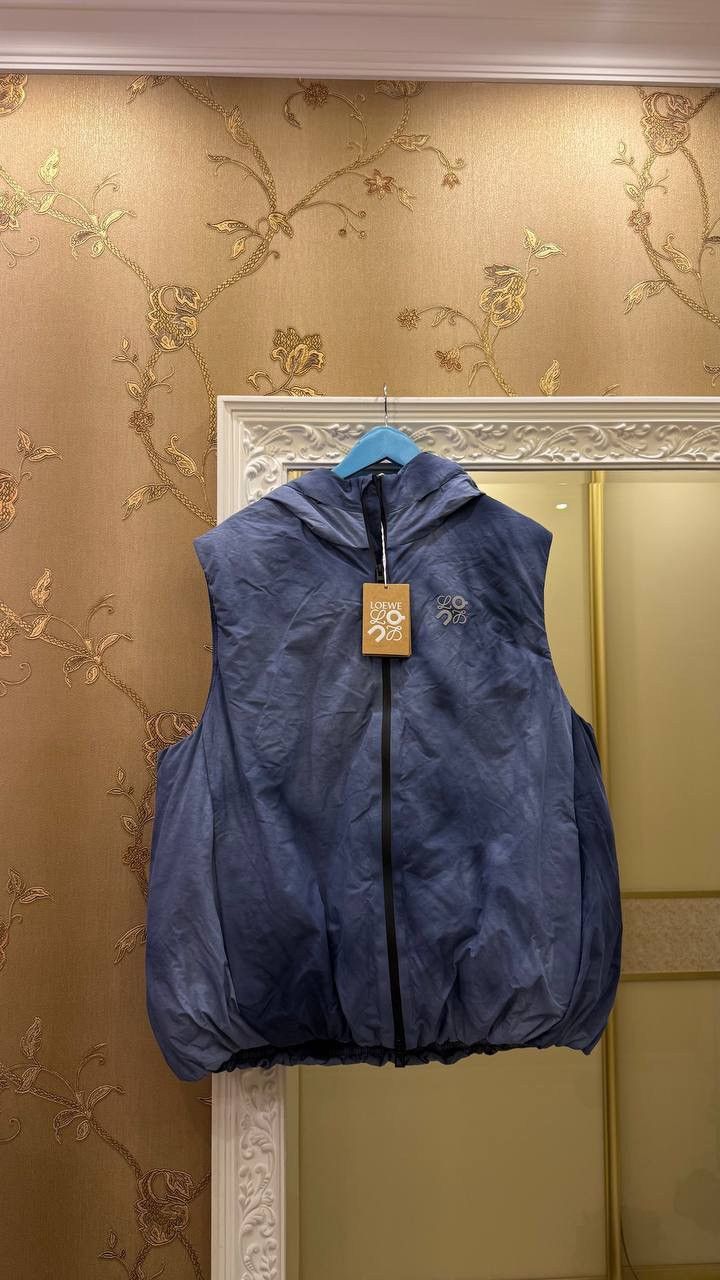 Loewe × On Loewe x On Blue Multicolor Puffer Vest Size L Size US L / EU 52-54 / 3 - 3 Thumbnail