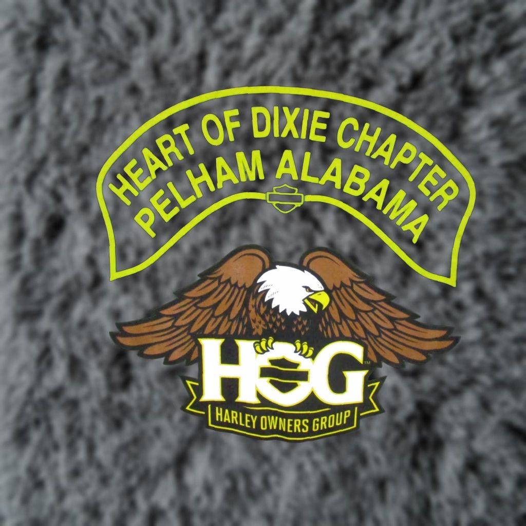 Gildan Gildan T Shirt Medium Green HOG Motorcycle Short Sleeve Cotton Pelham AL Mens Regular Green Logo Vintage: No Size US M / EU 48-50 / 2 - 1 Thumbnail