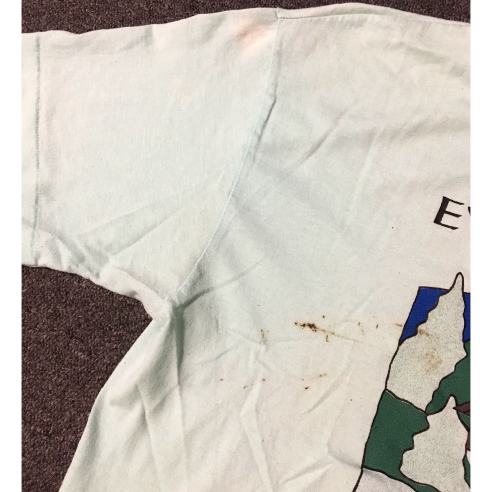 Evergreen VINTAGE Washington Evergreen State Shirt XL USA 90s Grunge Nature Distressed Single Stitch Mens T-Shirt Green Size US XL / EU 56 / 4 - 5 Thumbnail