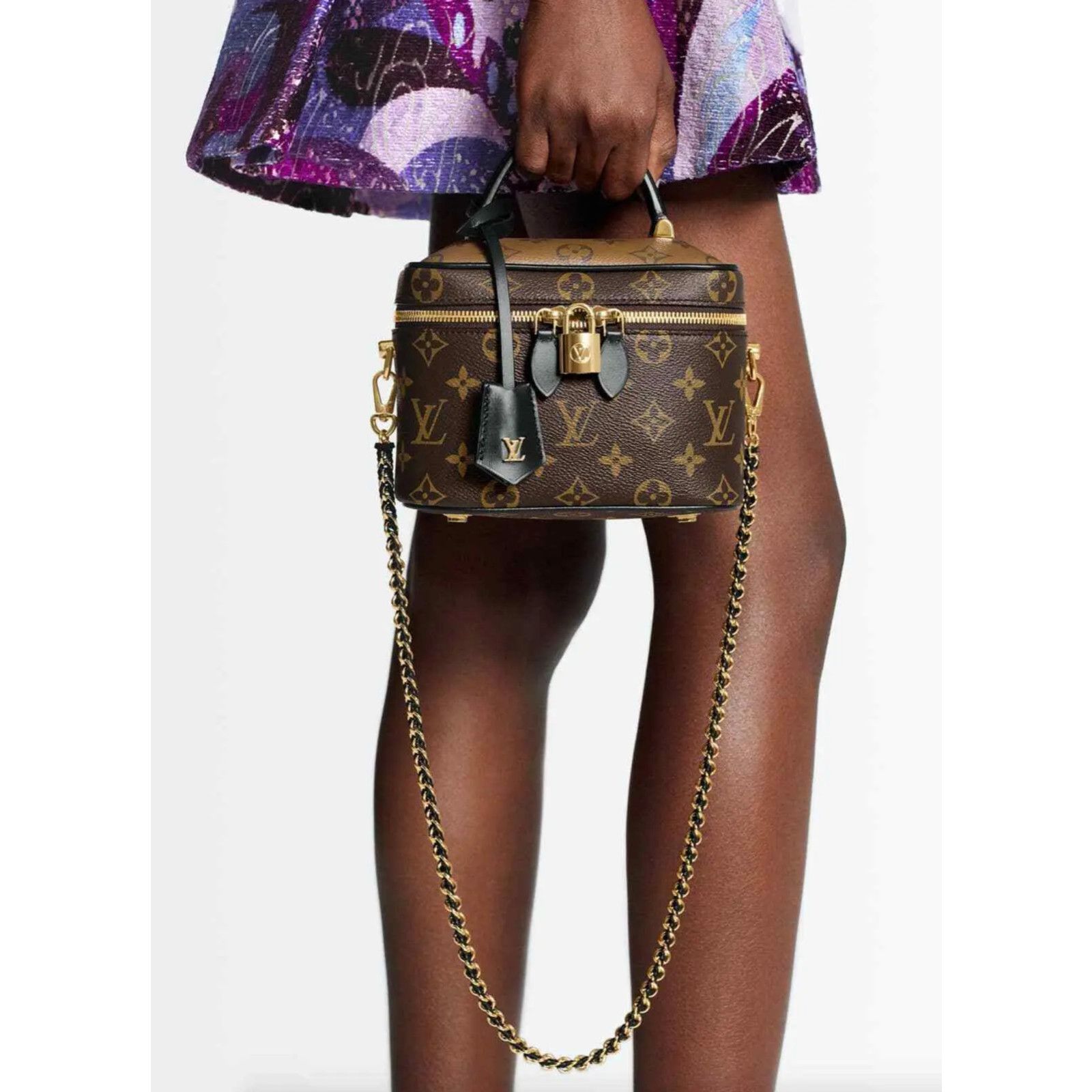 Louis Vuitton Louis Vuitton Vanity Monogram LV Logo Handle Shoulder Bag Size ONE SIZE - 3 Thumbnail