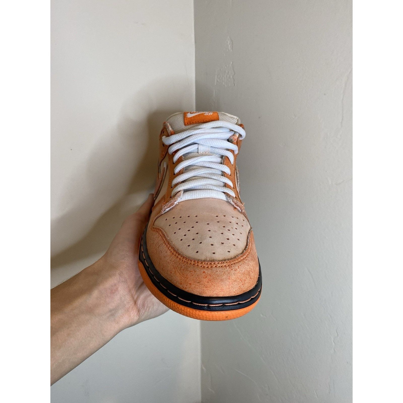Nike SB Dunk Low Concepts 