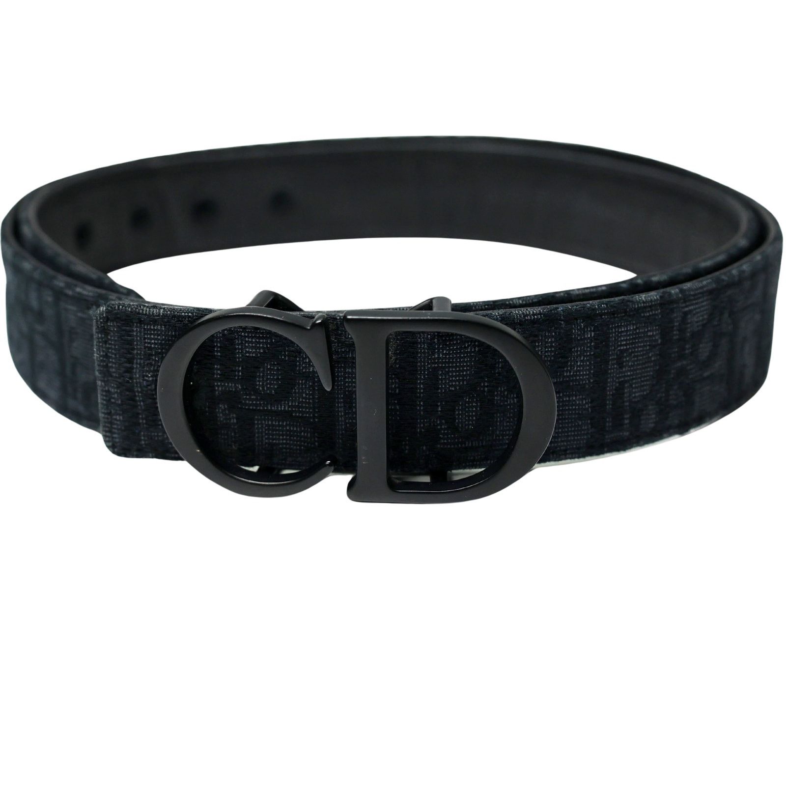 Dior × Stussy Dior x Stussy Onlique Belt and Shawn Buckle