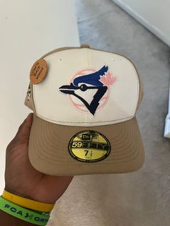 Toronto Blue Jays Fitted Custom Exclusive Low Profile Black and Metall –  More Than Just Caps Clubhouse